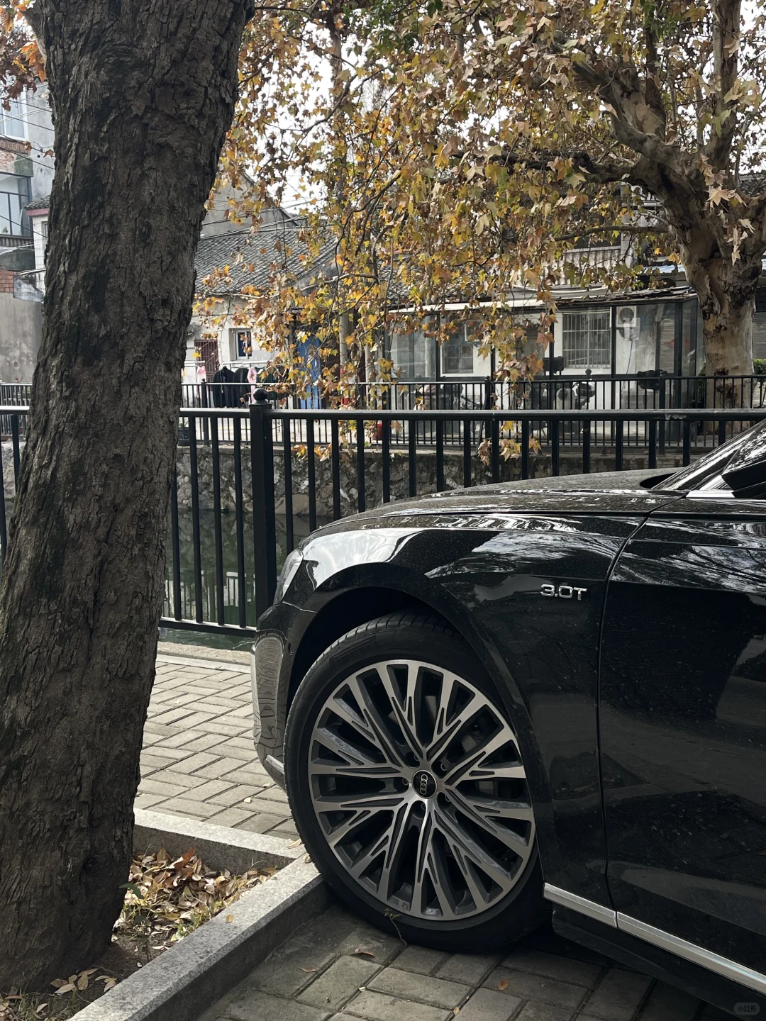 古镇偶遇金像奖得主 ｜ 你小子不适合做地板