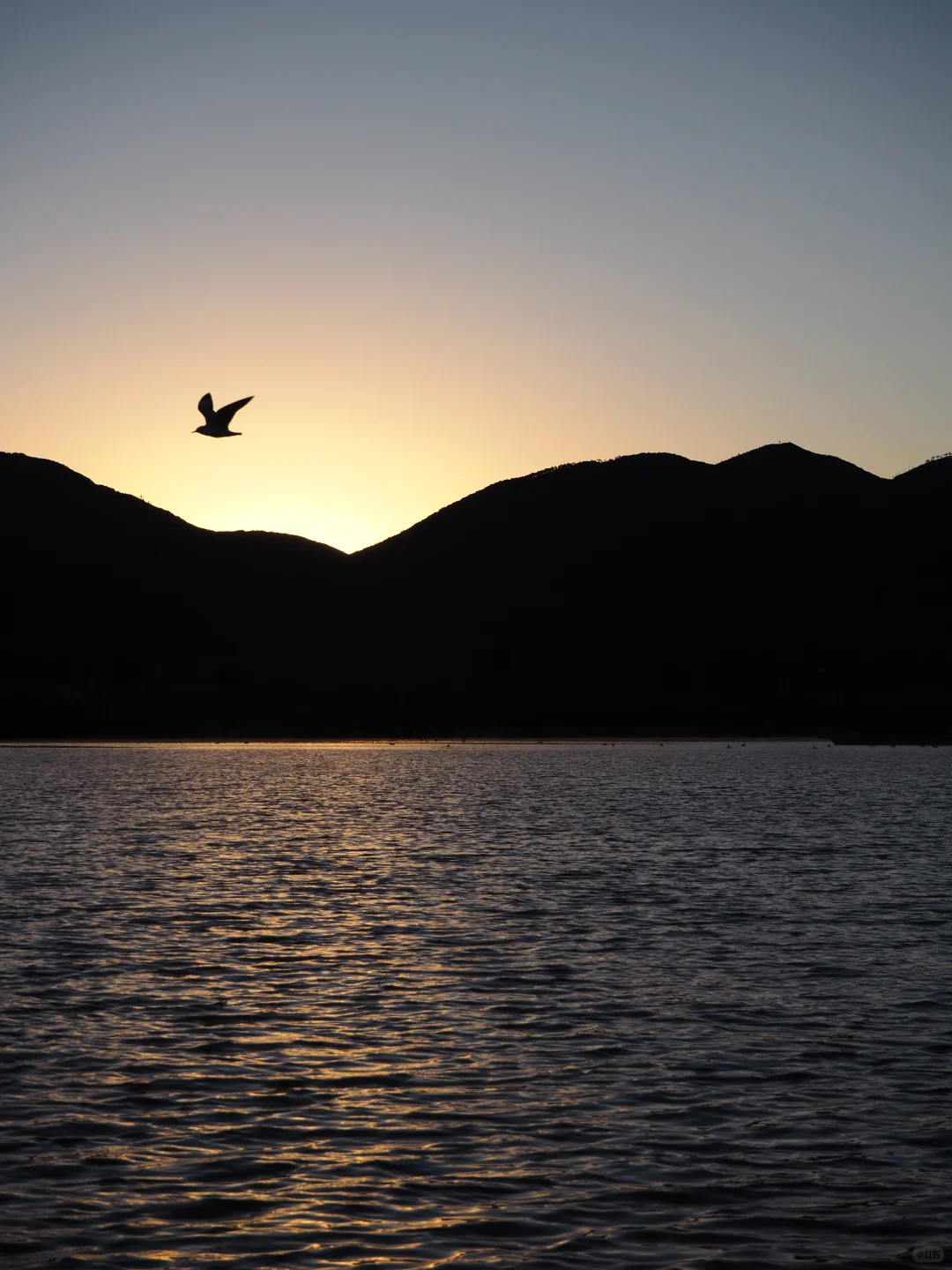 泸沽湖｜看晨雾🌁我拍了湖光映水色