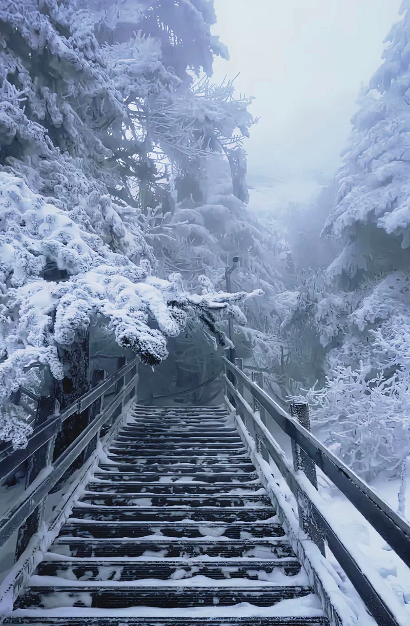邂逅冰雪仙境❄️轿子雪山最新实况🏔️