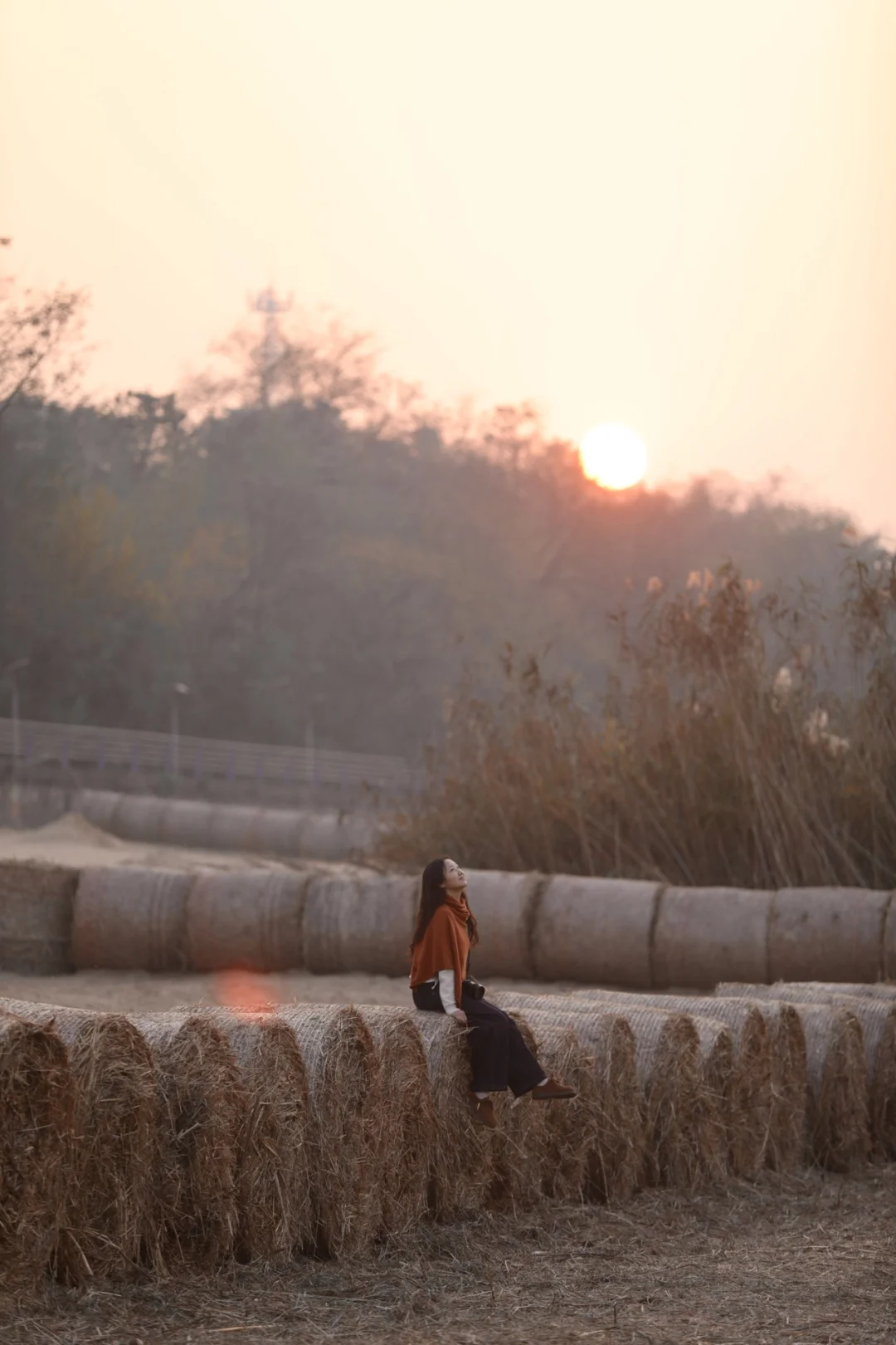 有一种美，叫岳阳的芦苇