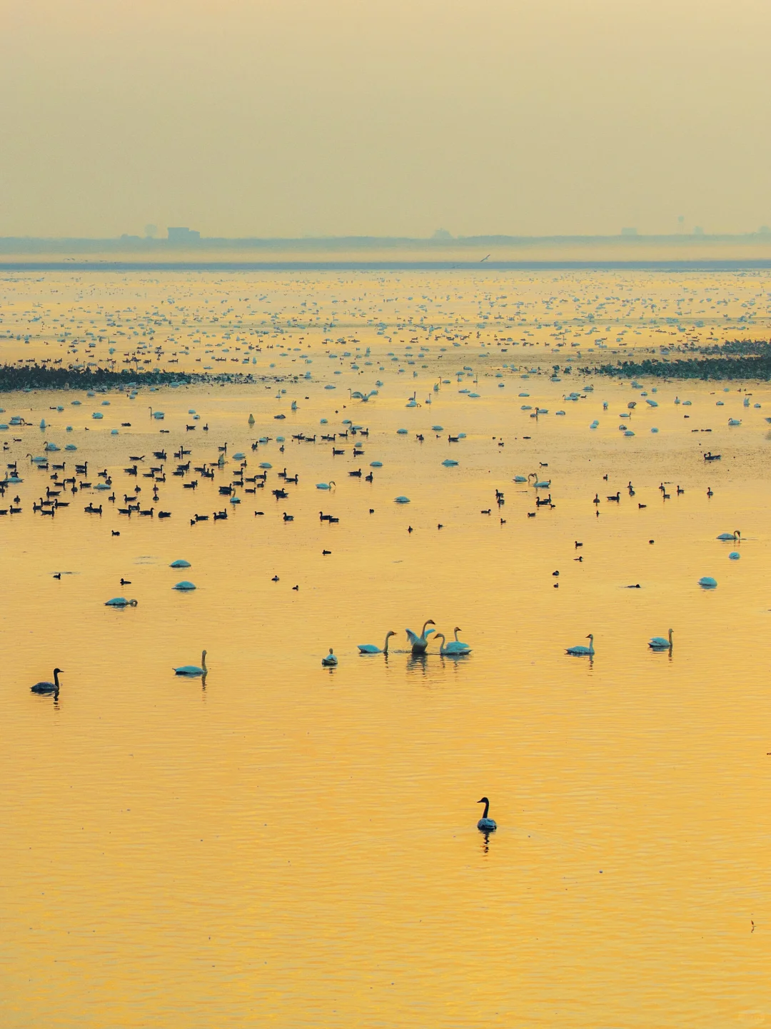 武汉出发2小时，我今年最偏爱的小镇出现了