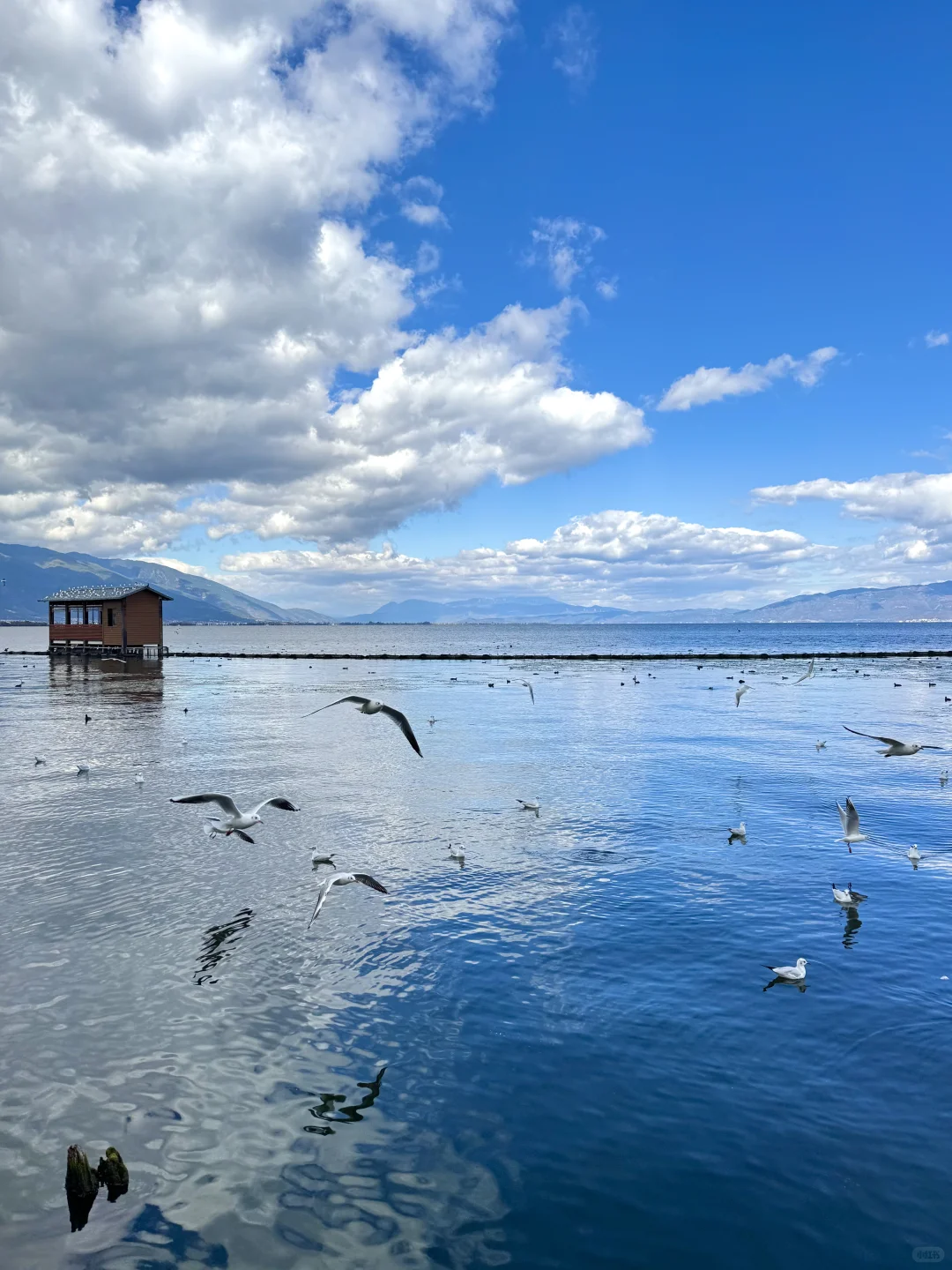 大理——苍山洱海🏔️