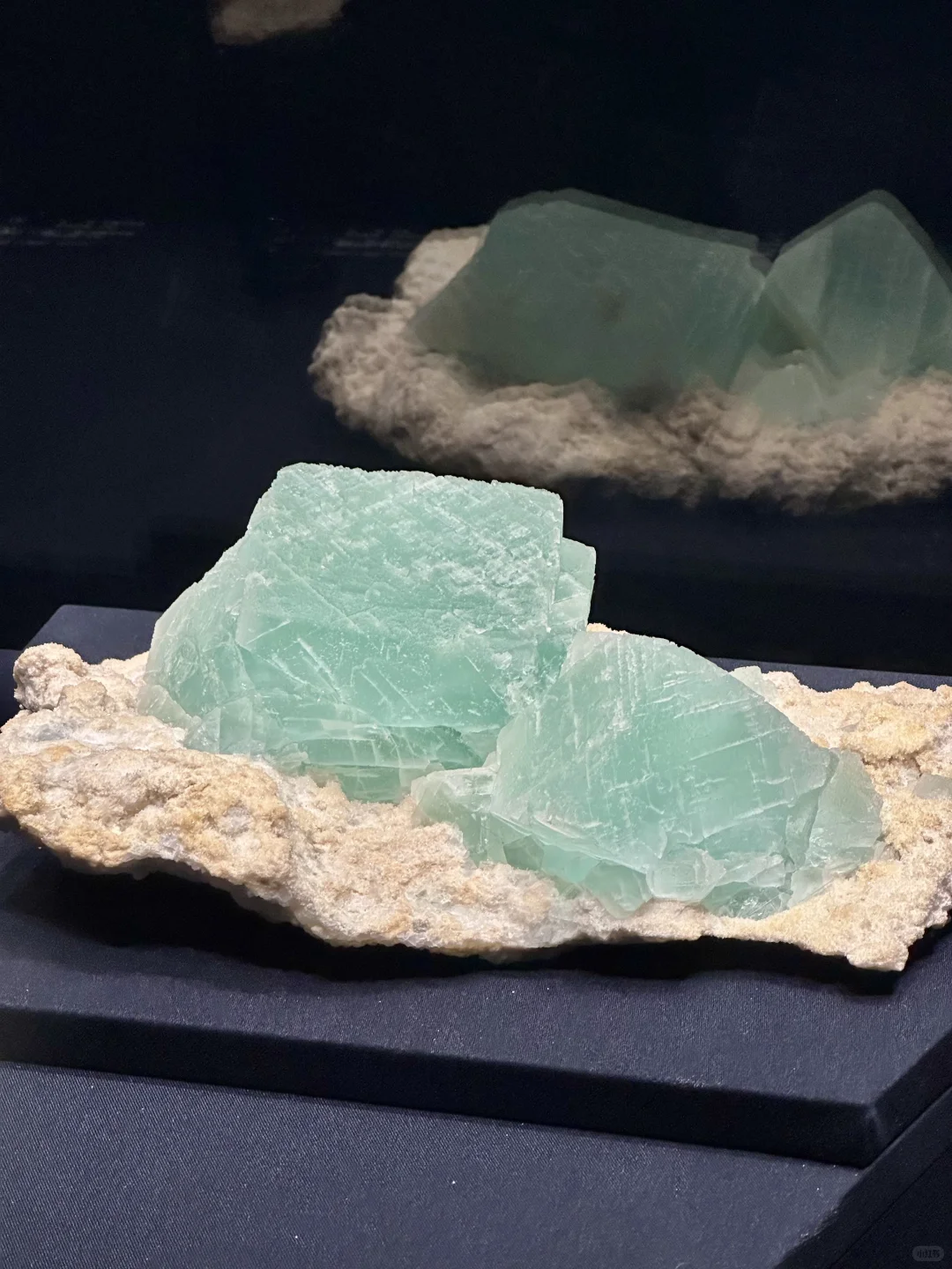 济南人欠全国一个解释。。。。。。。。。。