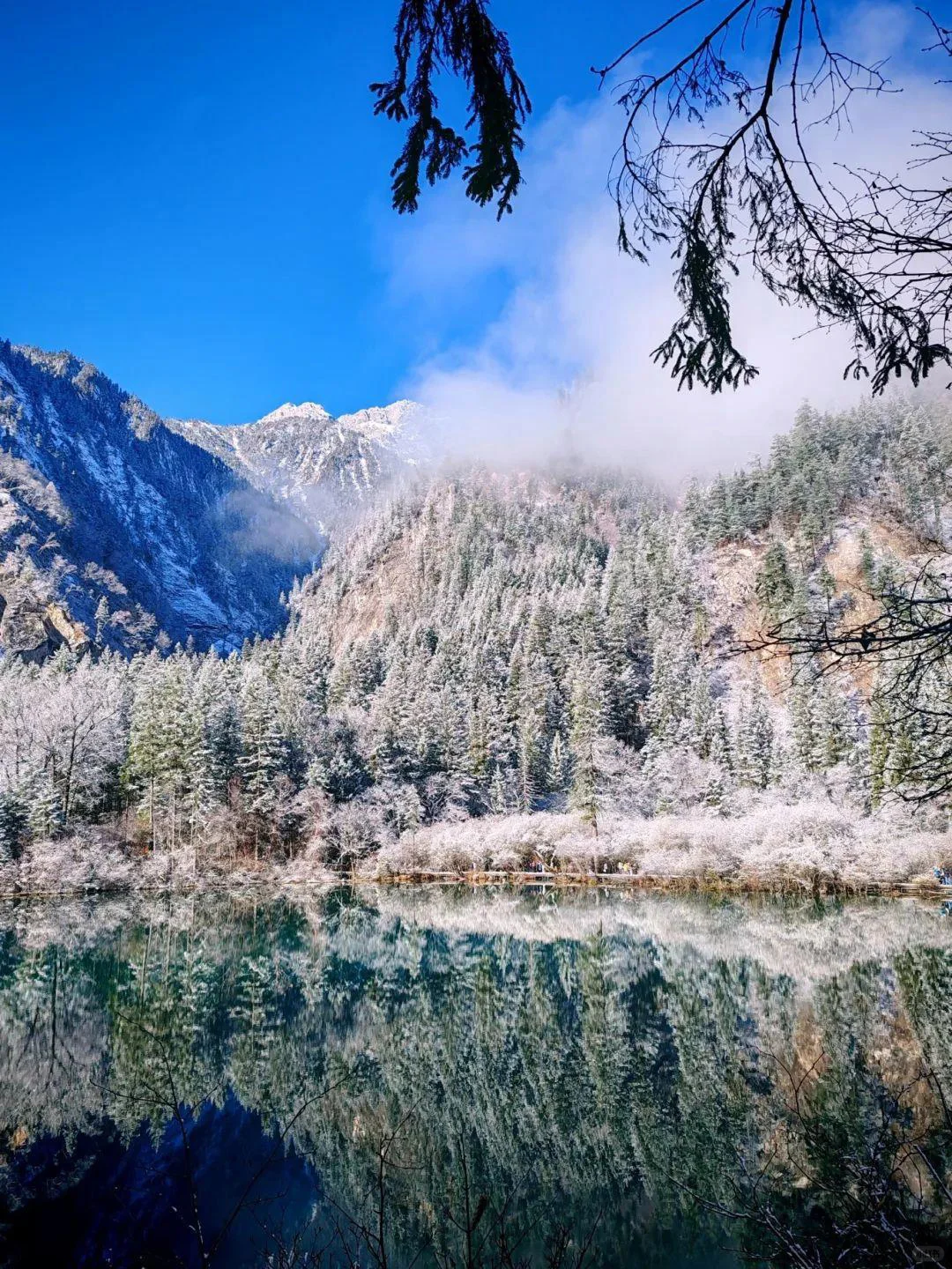 11.17📍九寨沟❗雪景+半价门票真心推荐