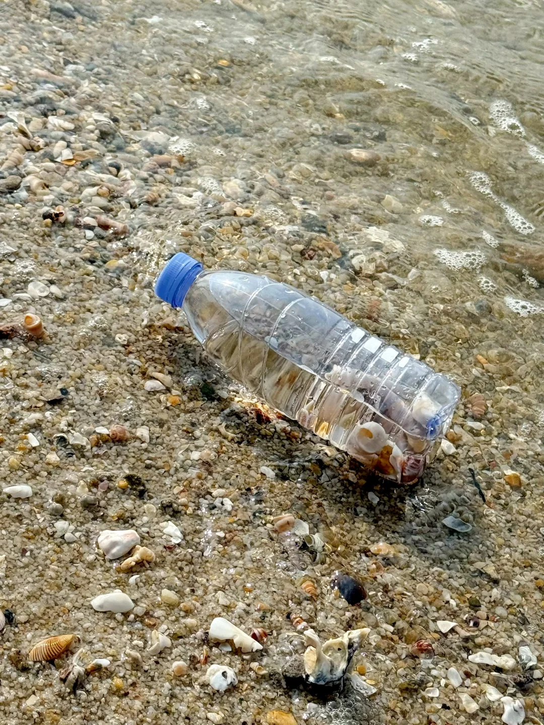 船在林中走，人在画里游