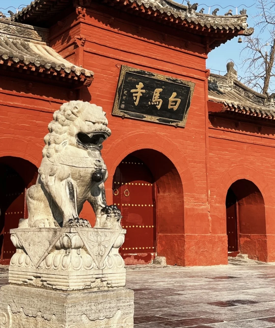 📍洛阳“远赴人间惊鸿宴，一睹人间盛世颜”