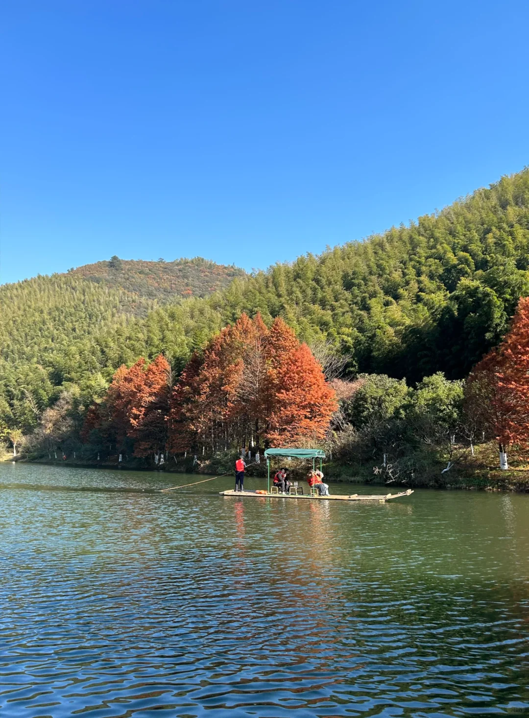 狗狗友好景区嘿嘿嘿