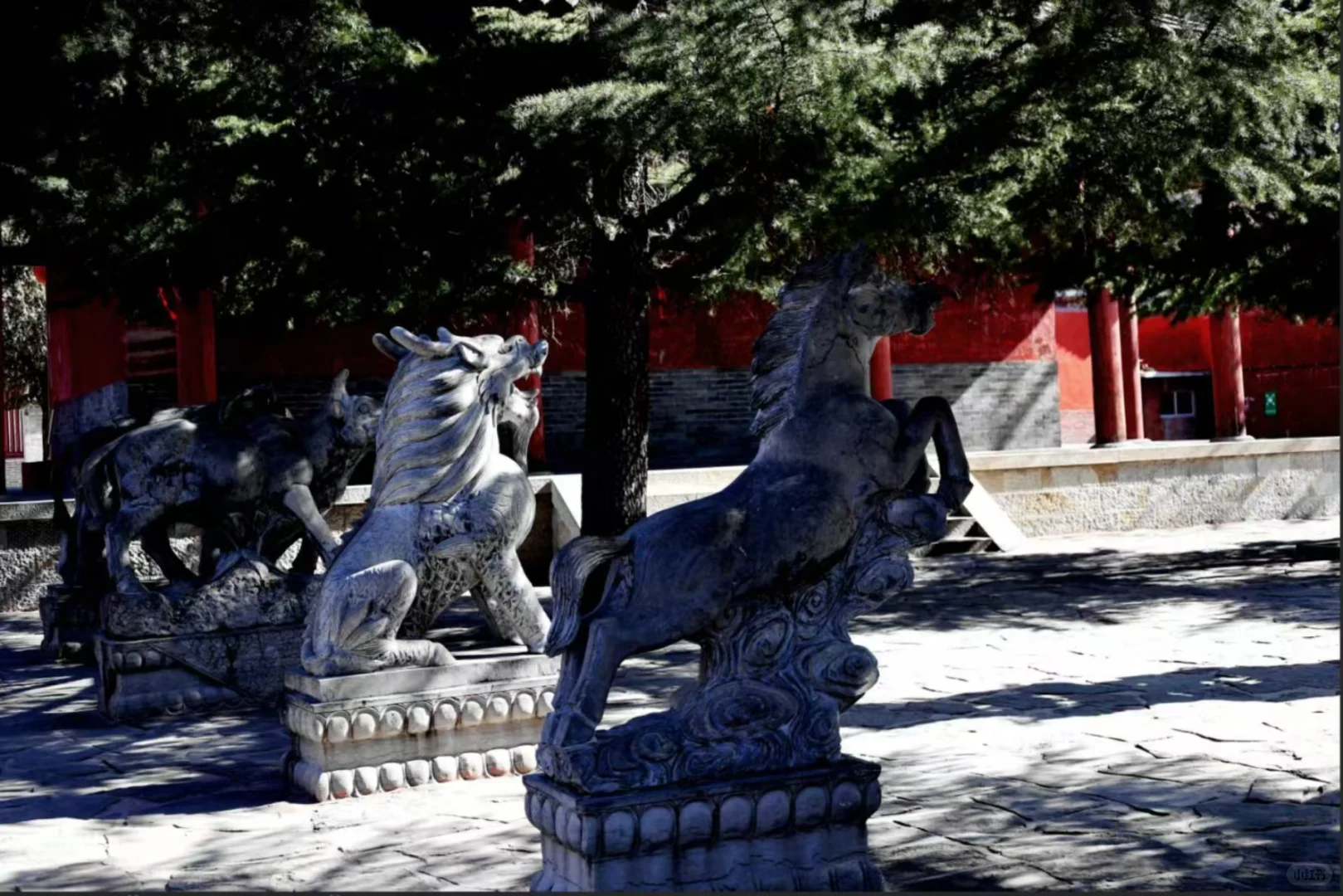 周末闯入时光里的小惊喜✨