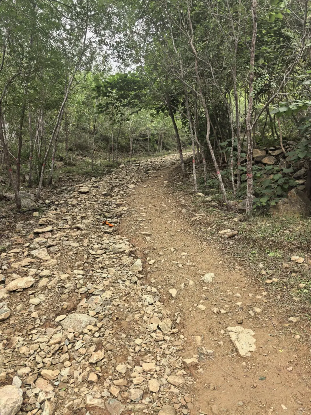 石家庄双龙山森林公园