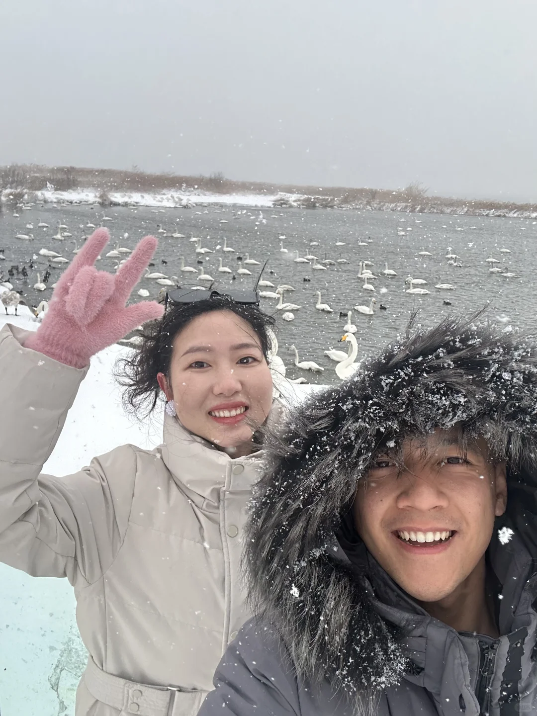 本J人对自己做的威海旅游攻略甚是满意🥰