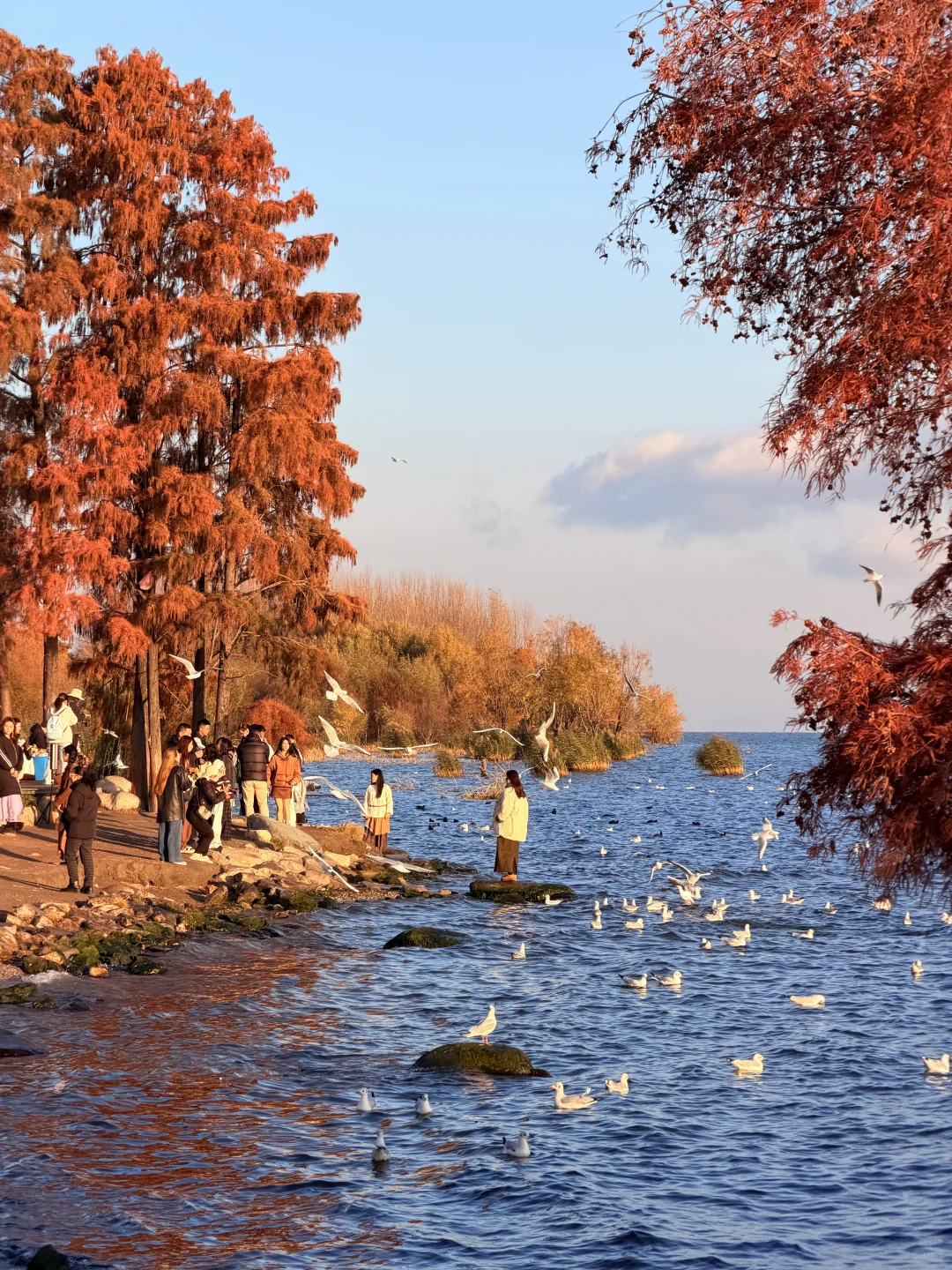 12.2实况🌅今天的大理！！！杀疯了！！！！！！！！！！！