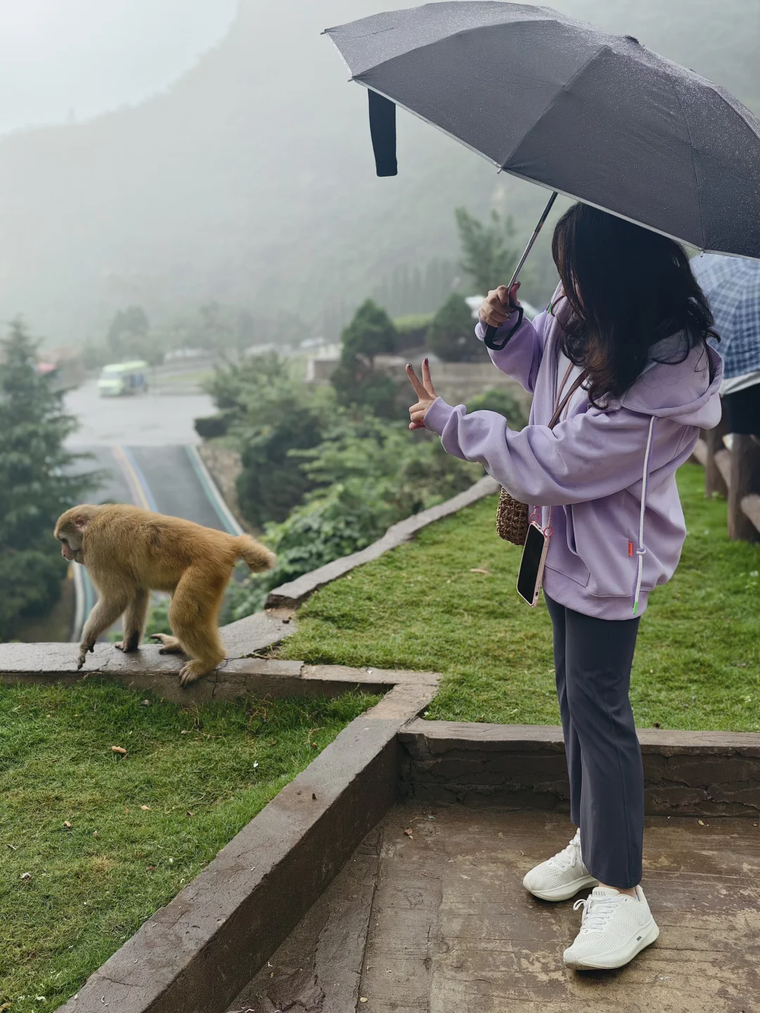 看猴去这个冷门景区就够啦！不用去峨眉山啦