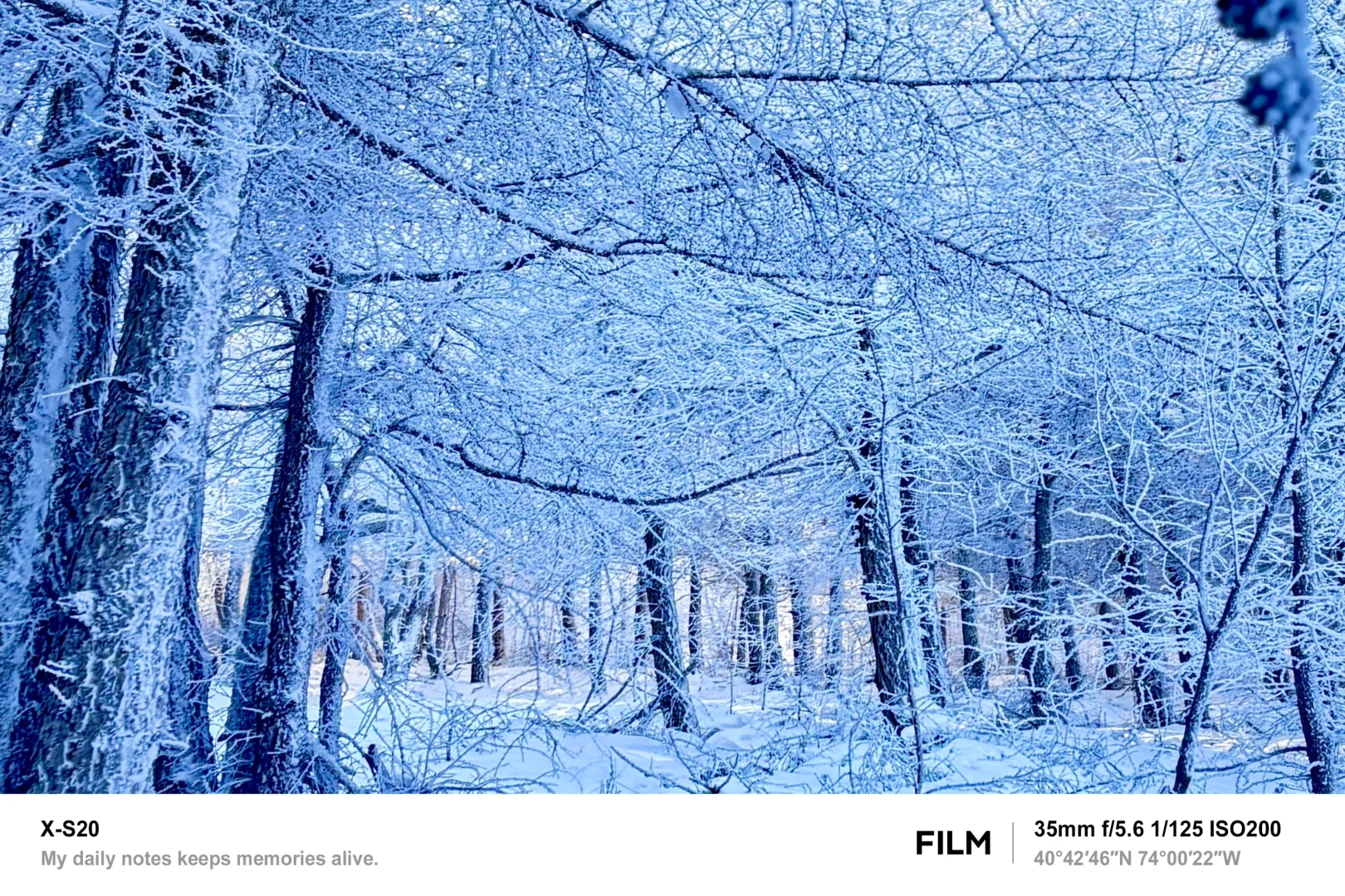 北京最近的林海雪原！桦皮岭可冲！