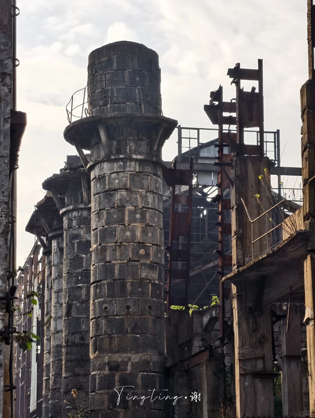 🌺花都开好了。