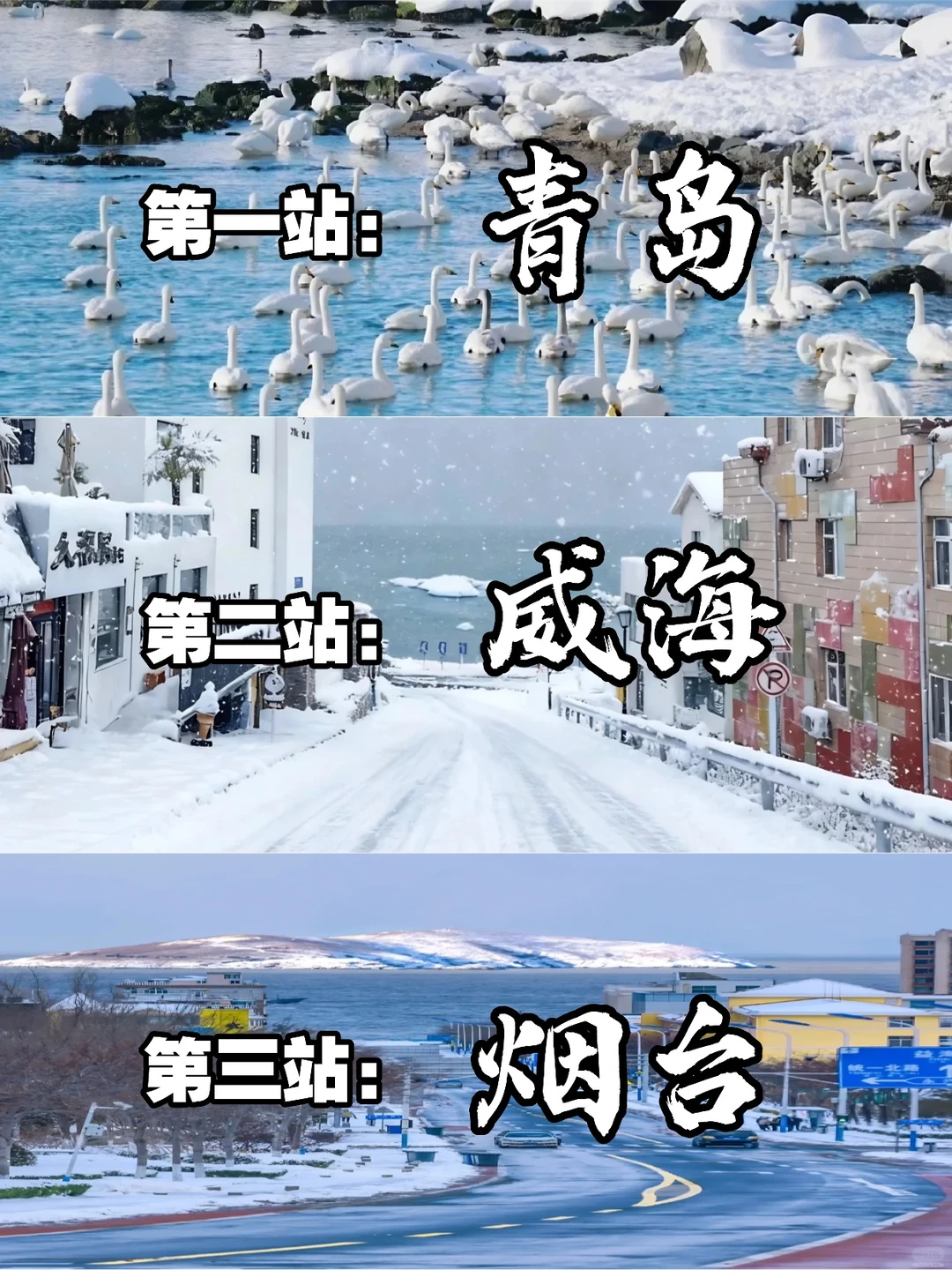 青岛威海烟台深度游攻略❄️看雪与海的碰撞