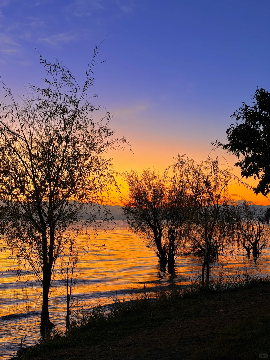 live实况🕊️今天的大理！！！杀疯了！！！！！！！！