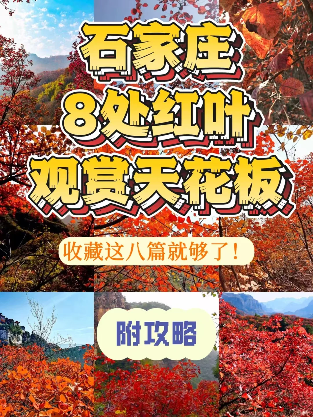 石家庄红叶天花板合集，收藏这篇就够了❗️