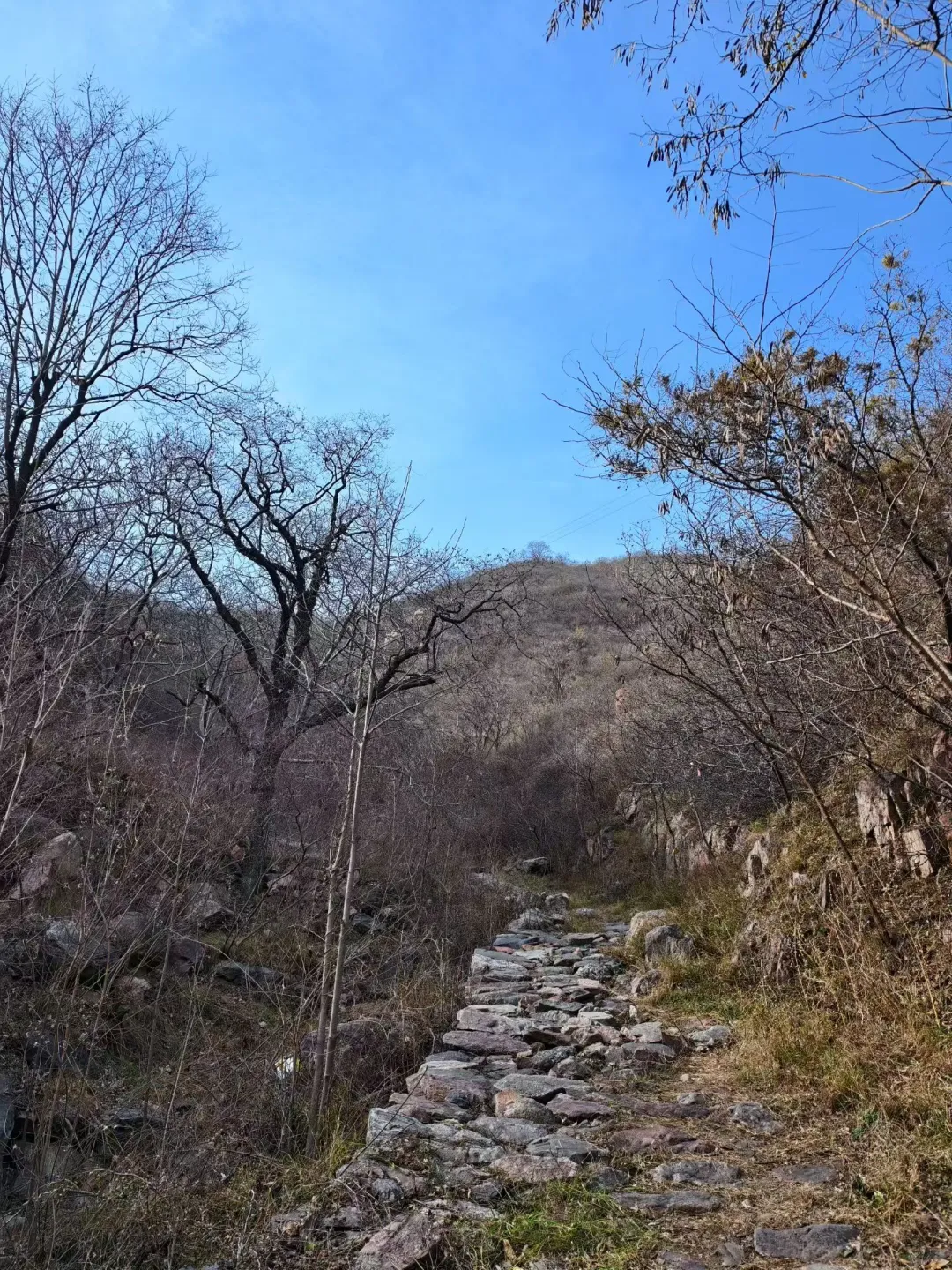 小小探险家(徒步)
