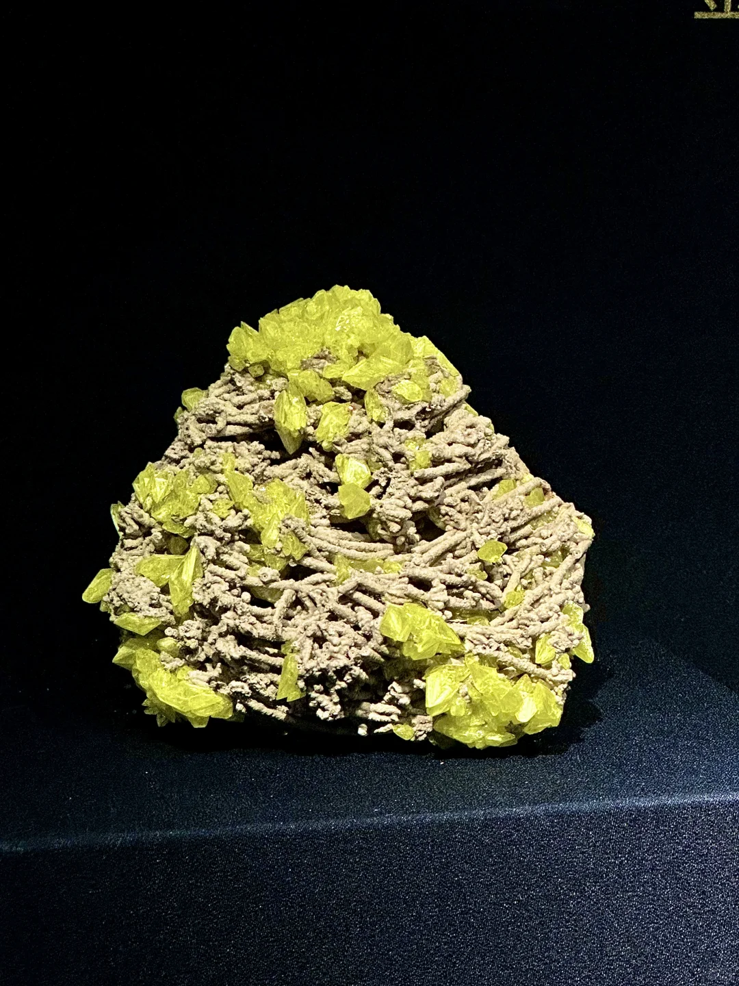 济南人欠全国一个解释。。。。。。。。。。