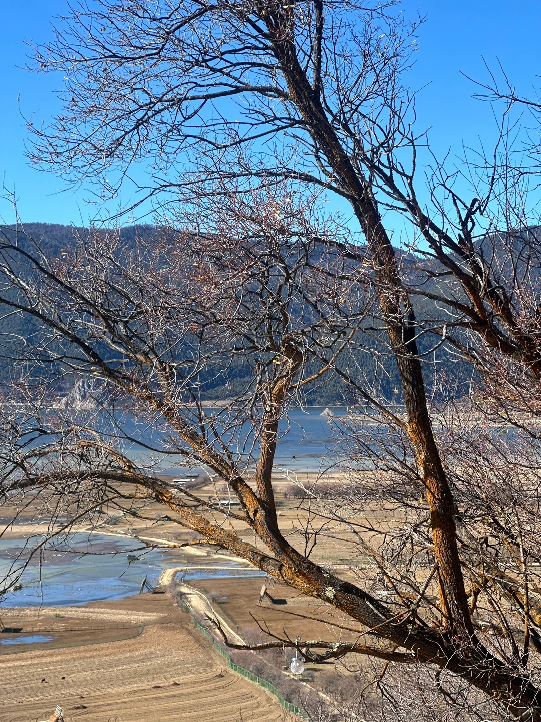 纳帕海小众打卡景点