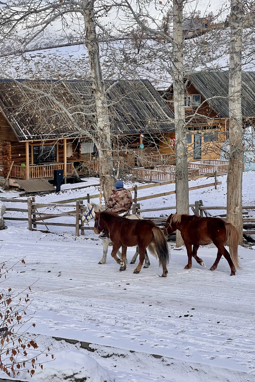 阿勒泰9天8晚旅行花费