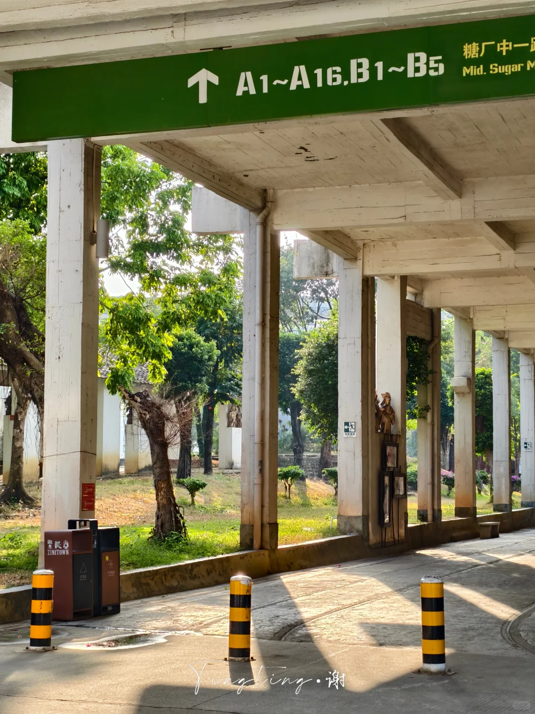 🌺花都开好了。