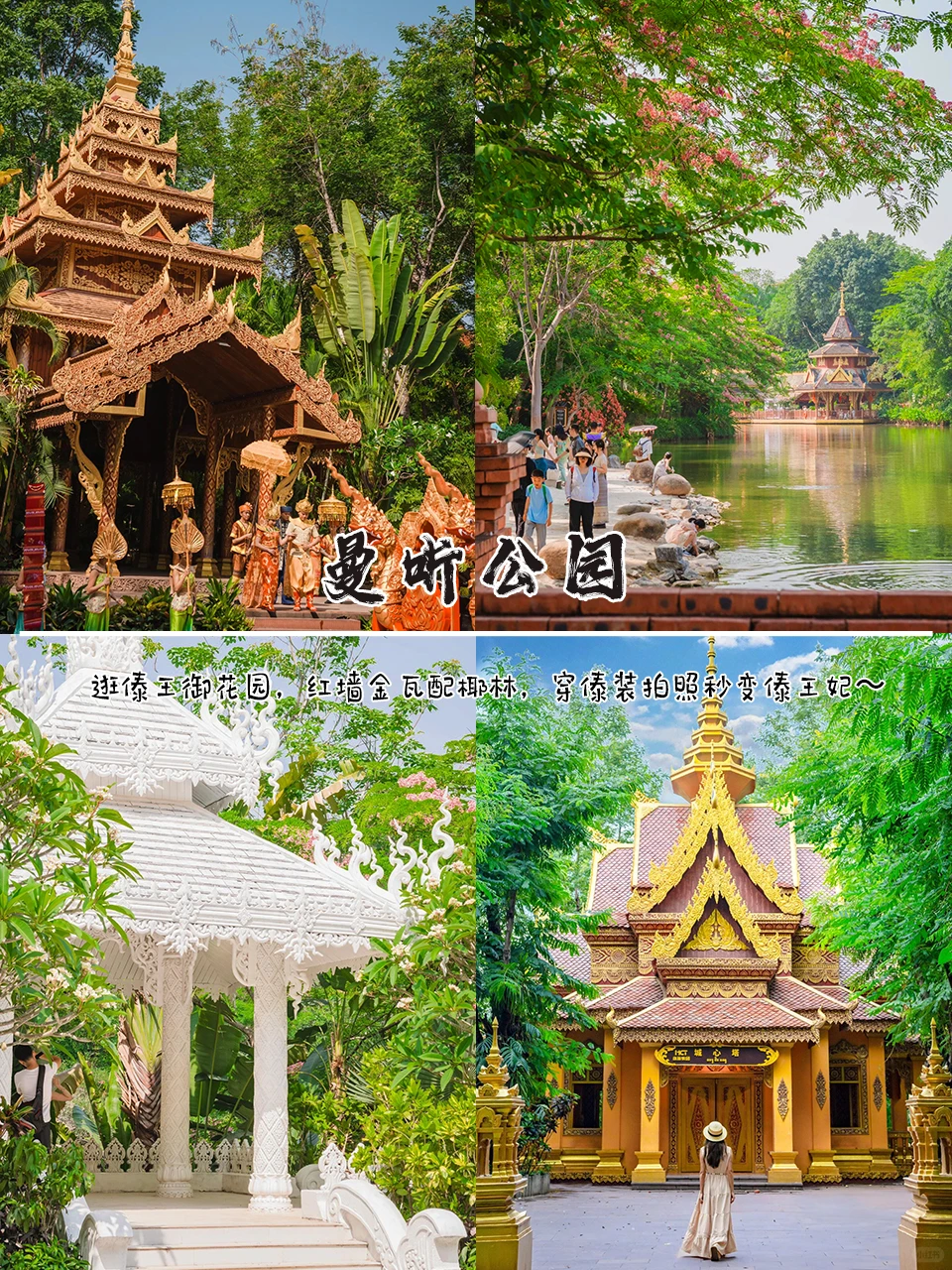 🔥强烈推荐！西双版纳亲子游轻松不费妈！