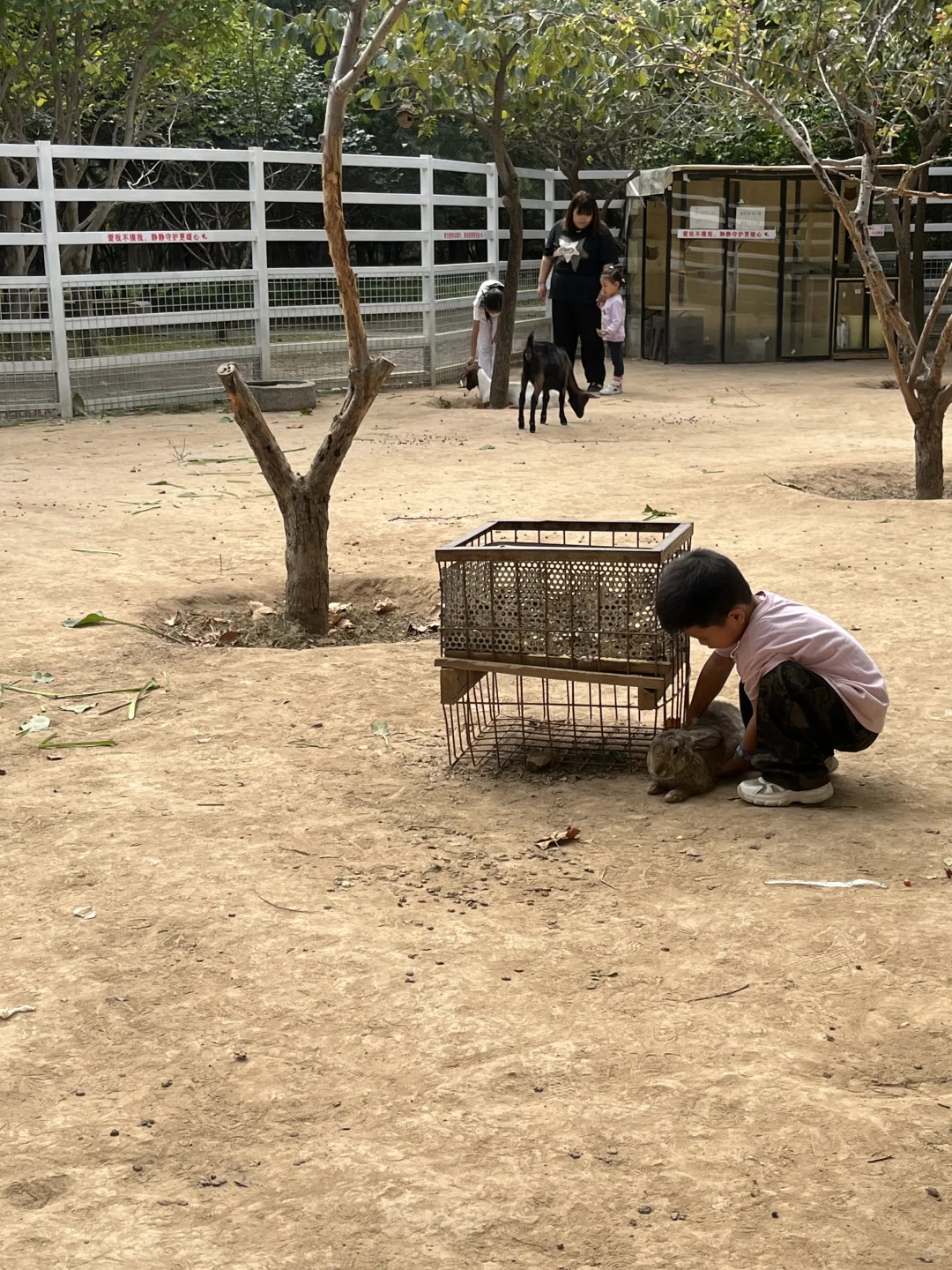 石家庄遛娃不限次玩爽！不排队！