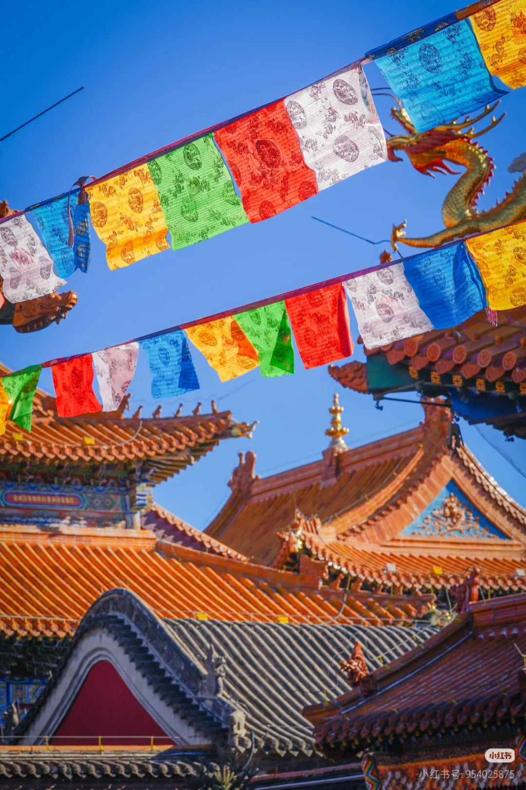 北京出发—26年元旦备选旅游城市清单