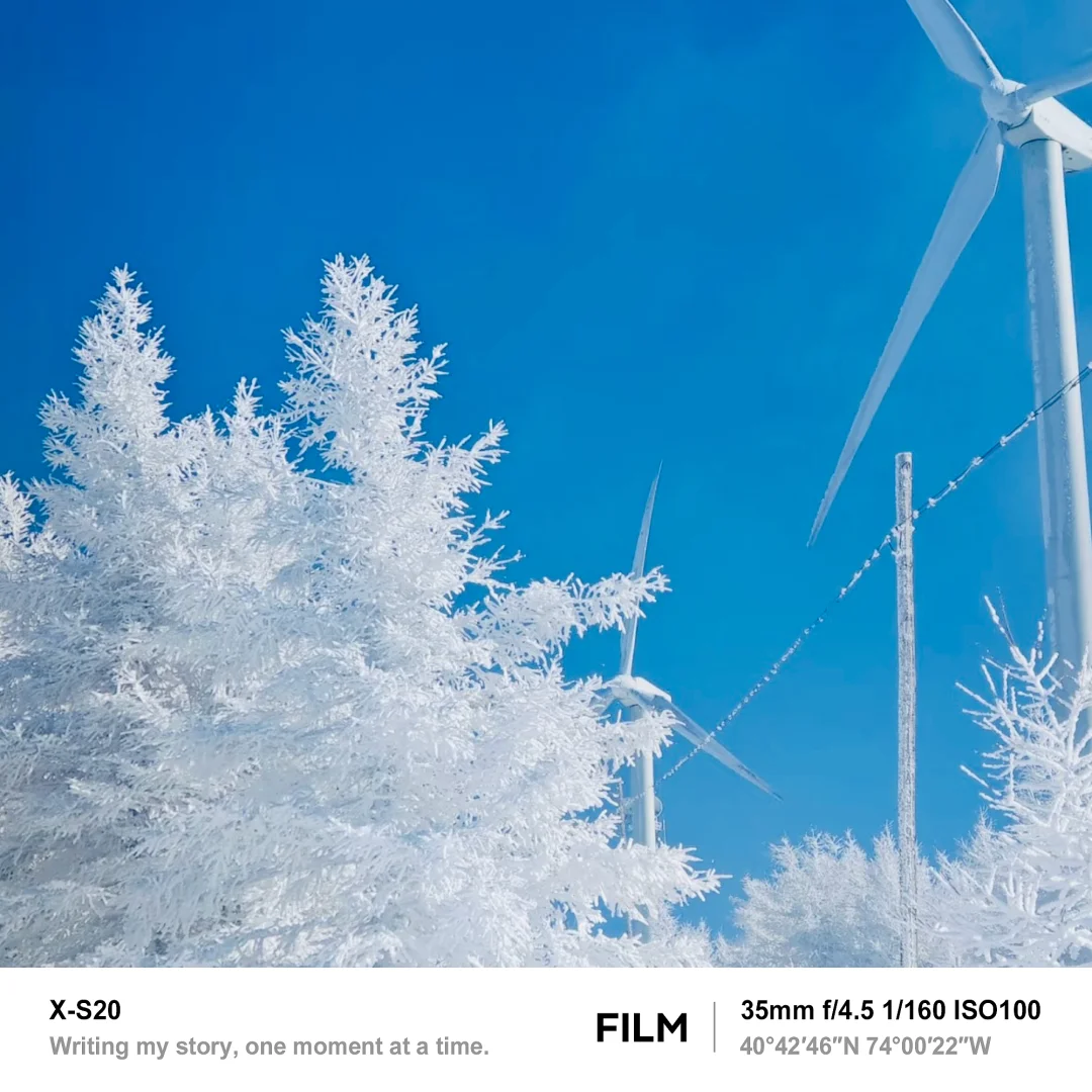 北京最近的林海雪原！桦皮岭可冲！