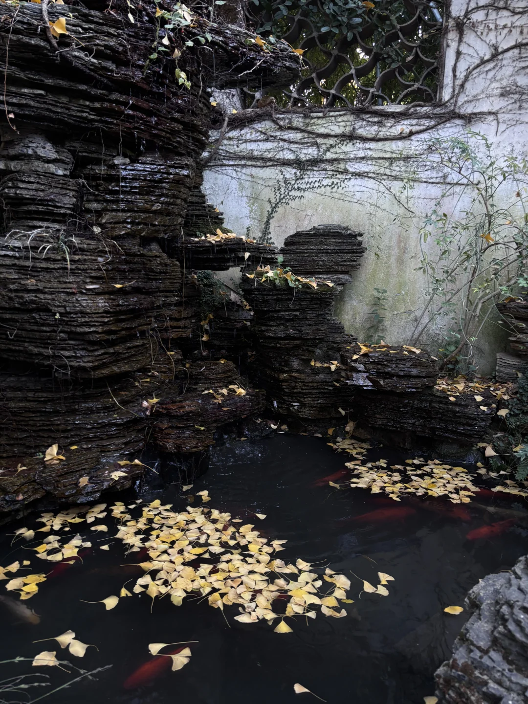 来惠山古镇寻秋