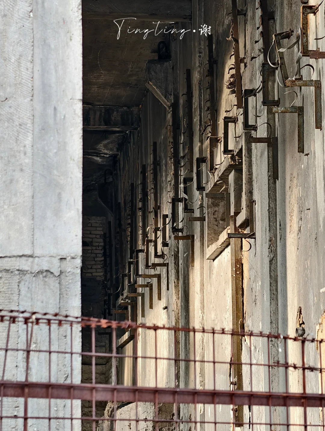 🌺花都开好了。