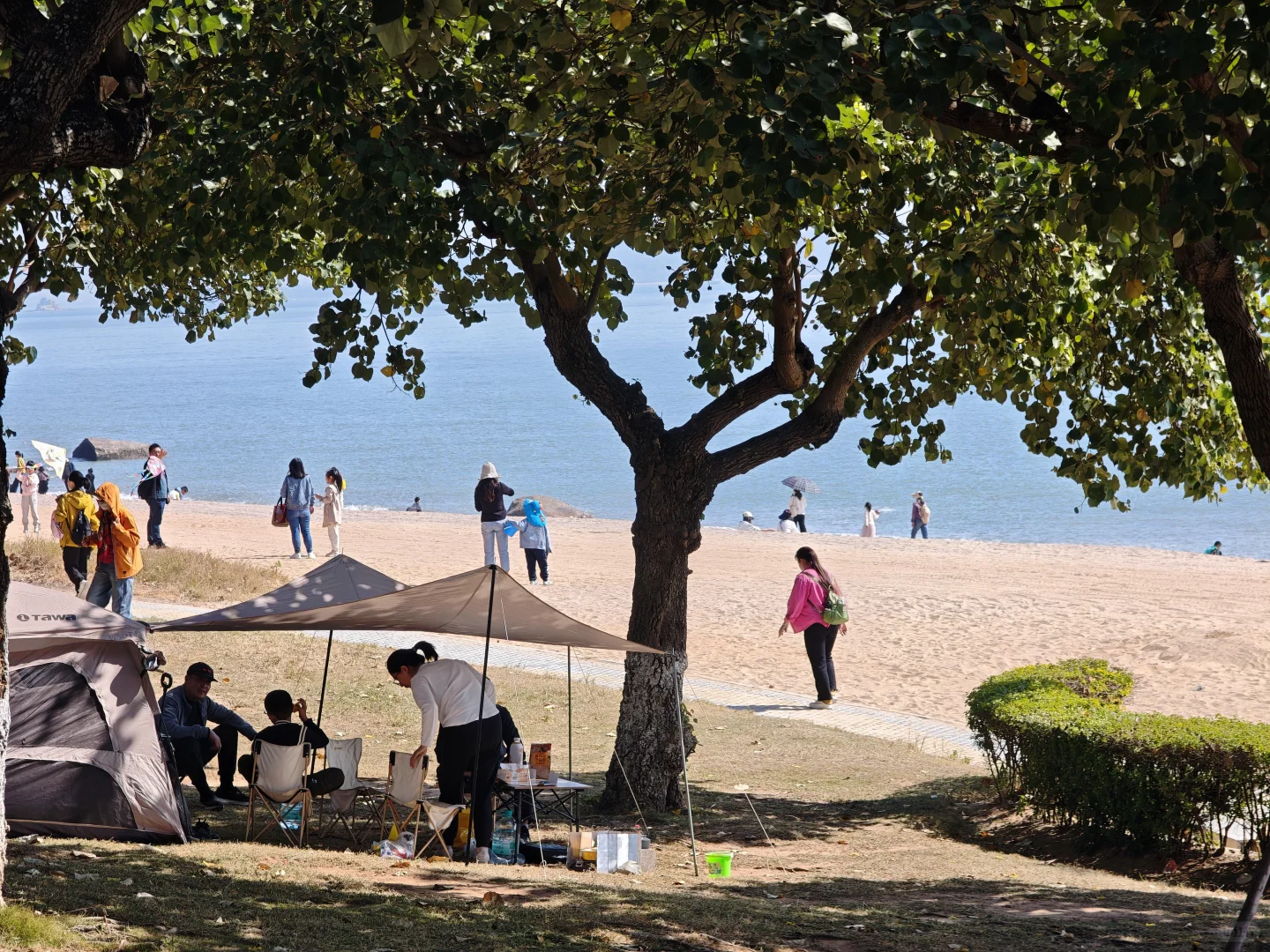 请大数据推给12月要来厦门的朋友