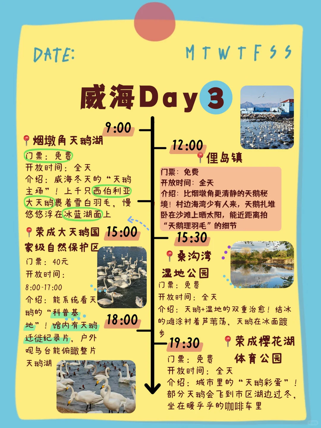 冬天去威海旅游❄️ 整理的手帐攻略（自用版）