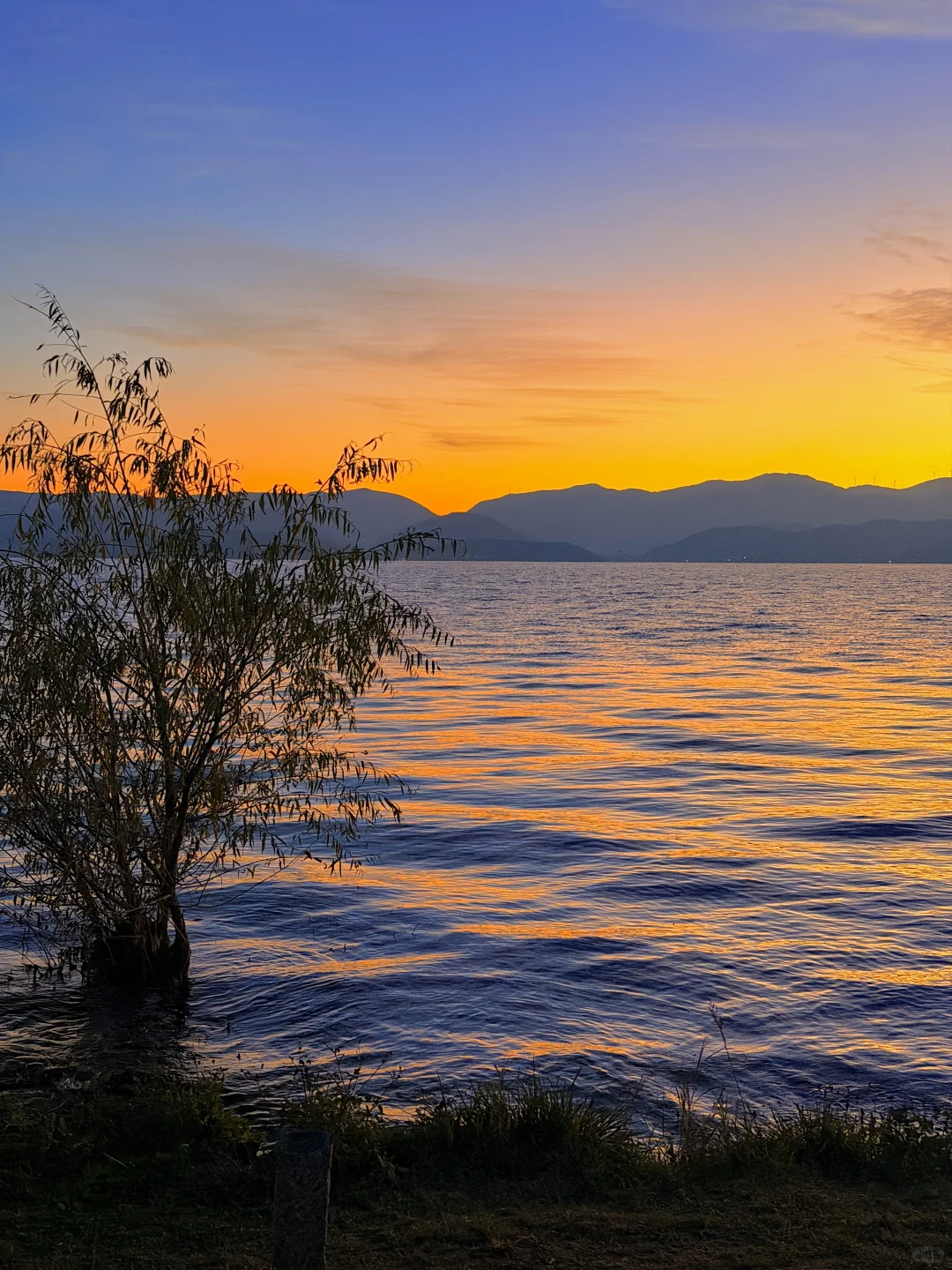 live实况🕊️今天的大理！！！杀疯了！！！！！！！！