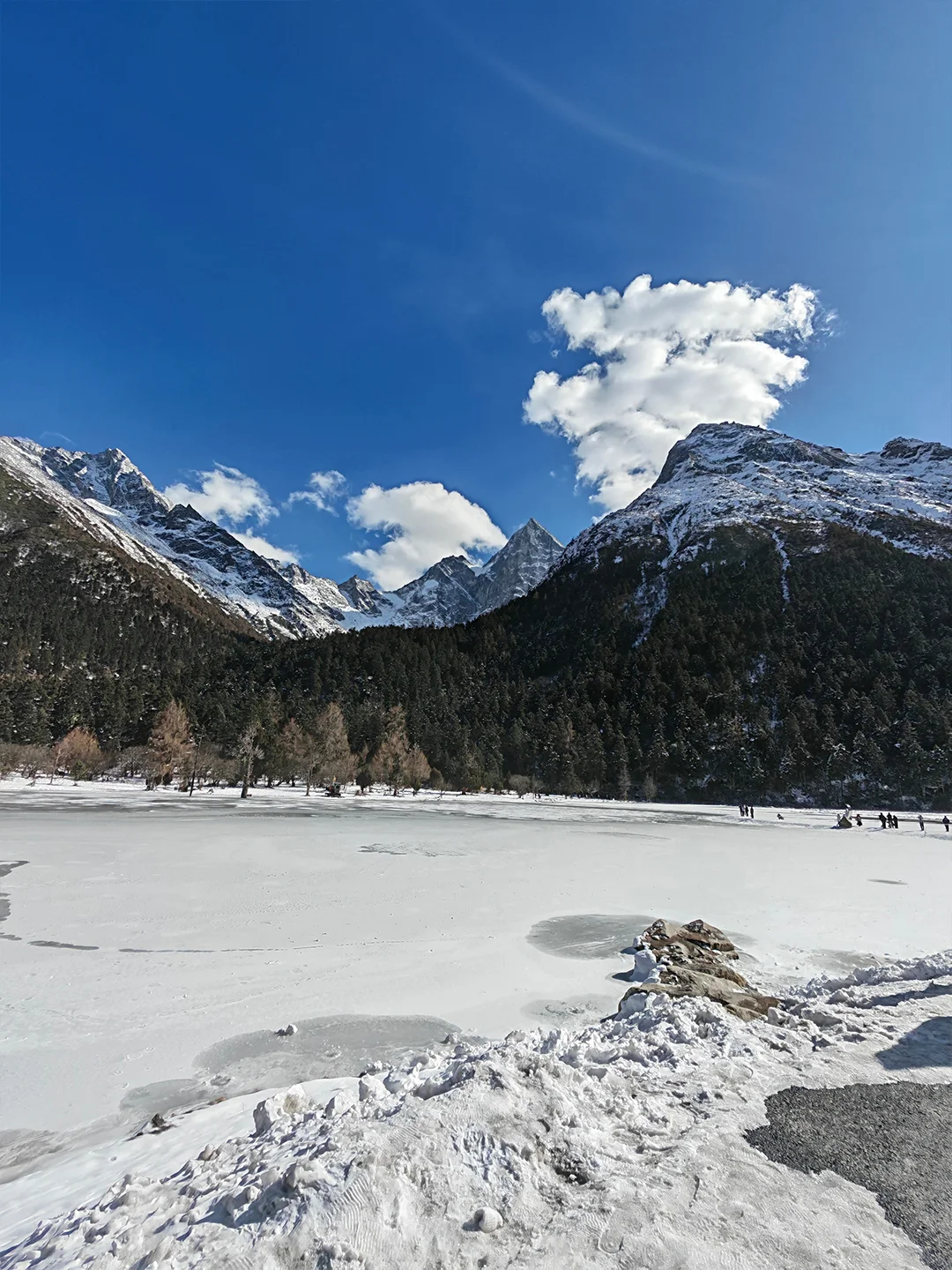 川西毕棚沟📍成都一日游往返167💰含门票