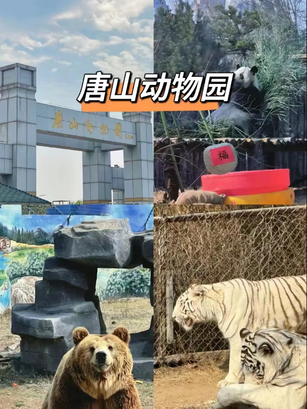 11月的唐山，值得你来