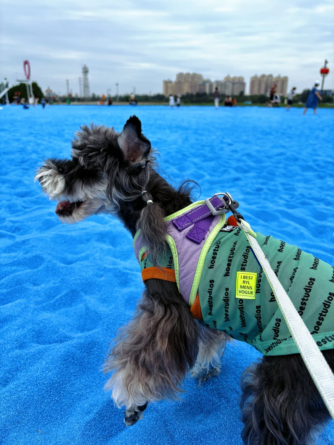 大黄鸭，我来了！附滹沱河艺术生态岛怎么玩