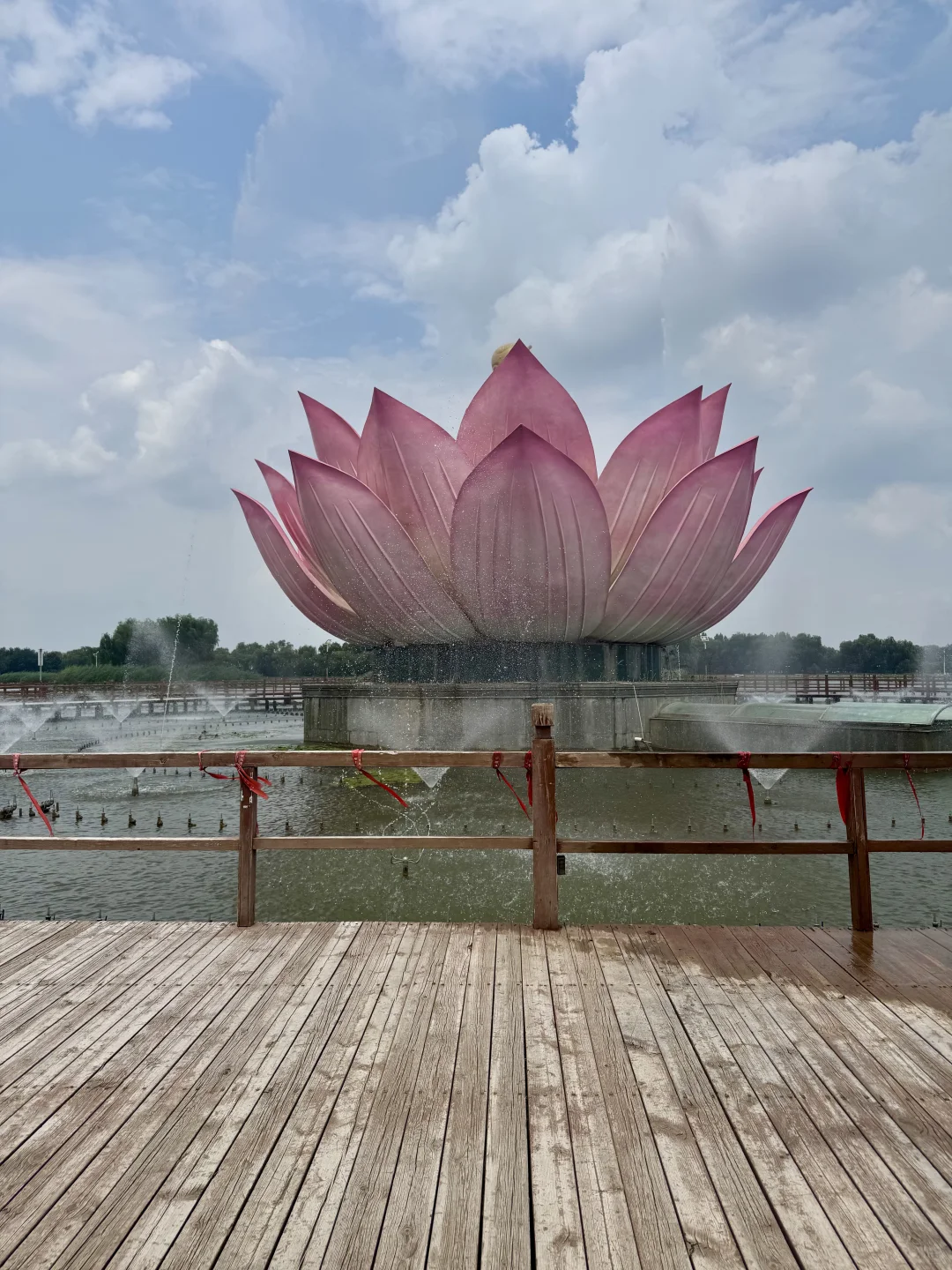 北国水乡🪷荷香苇荡织就的生态画卷