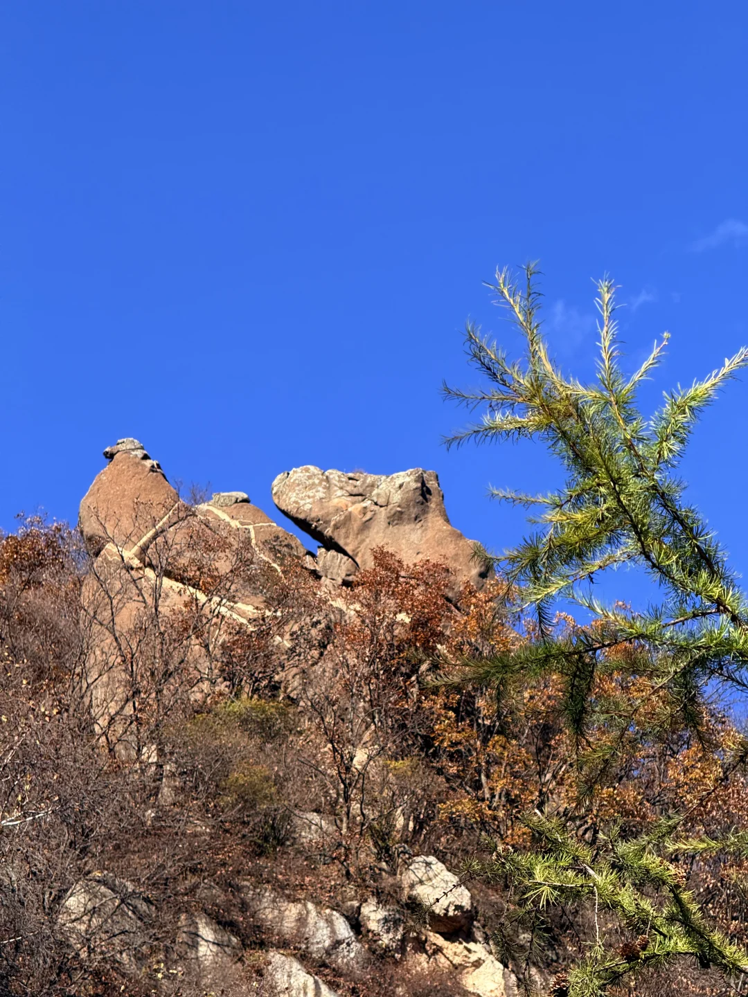新手第一次爬五岳寨超全攻略|一定要保存好！