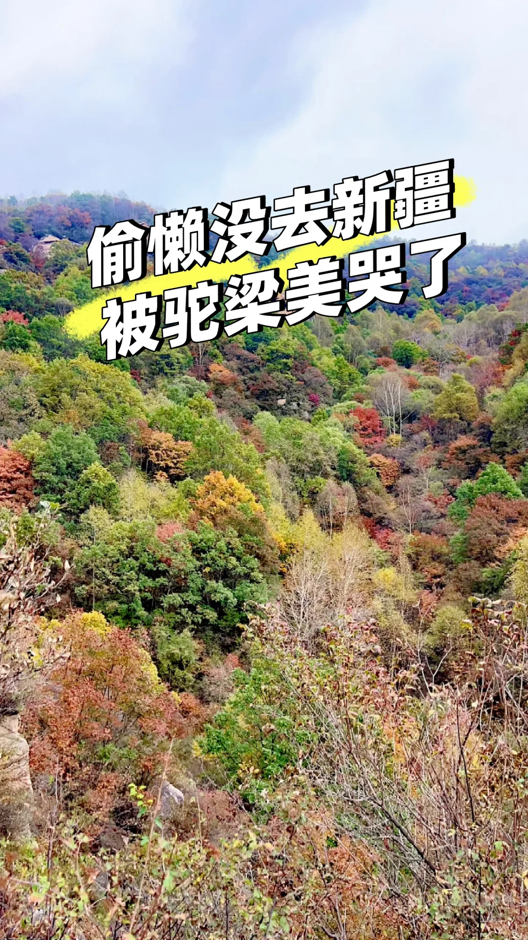 石家庄|没去新疆阿勒泰，被这里美哭了！