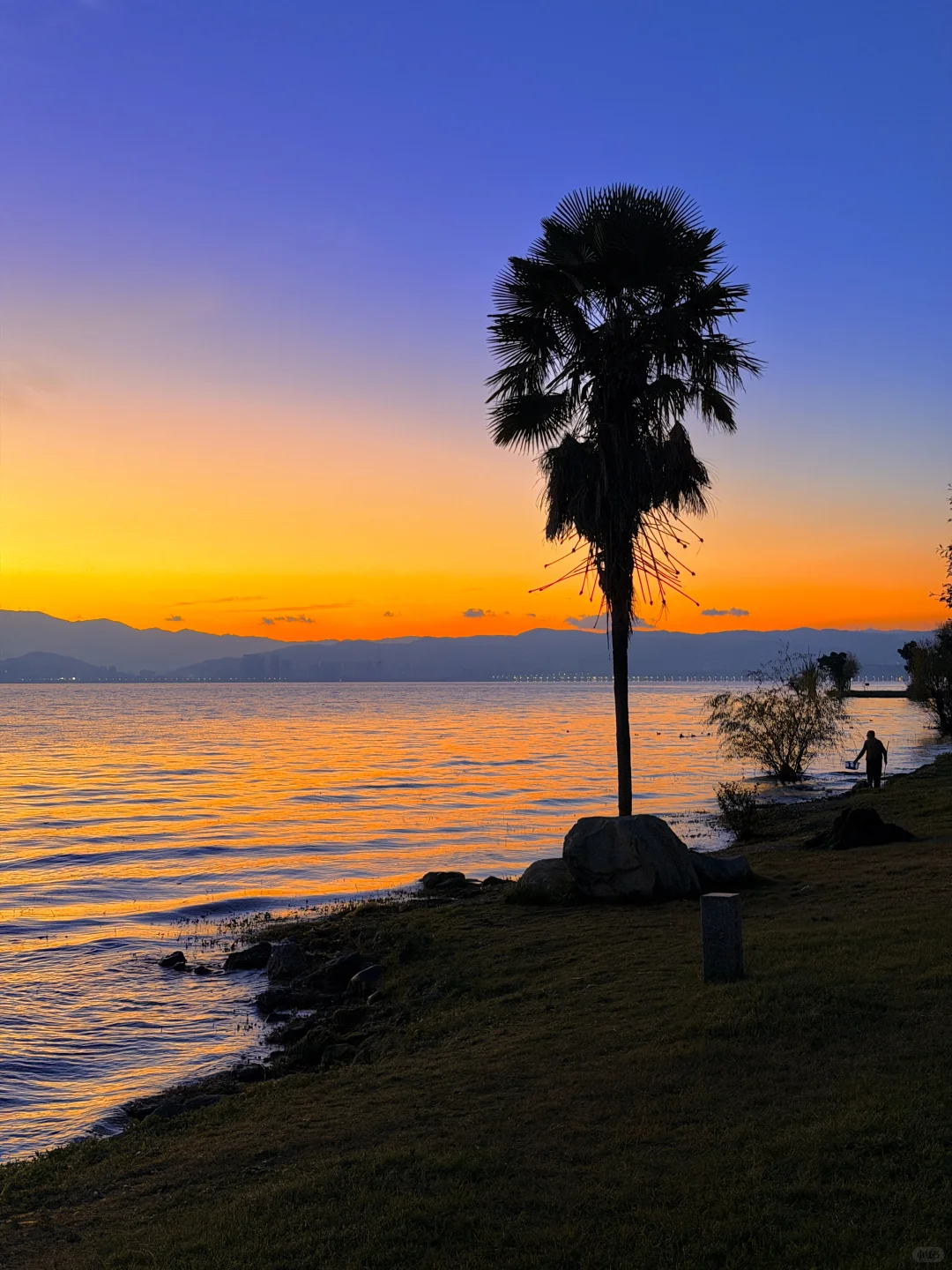 live实况🕊️今天的大理！！！杀疯了！！！！！！！！