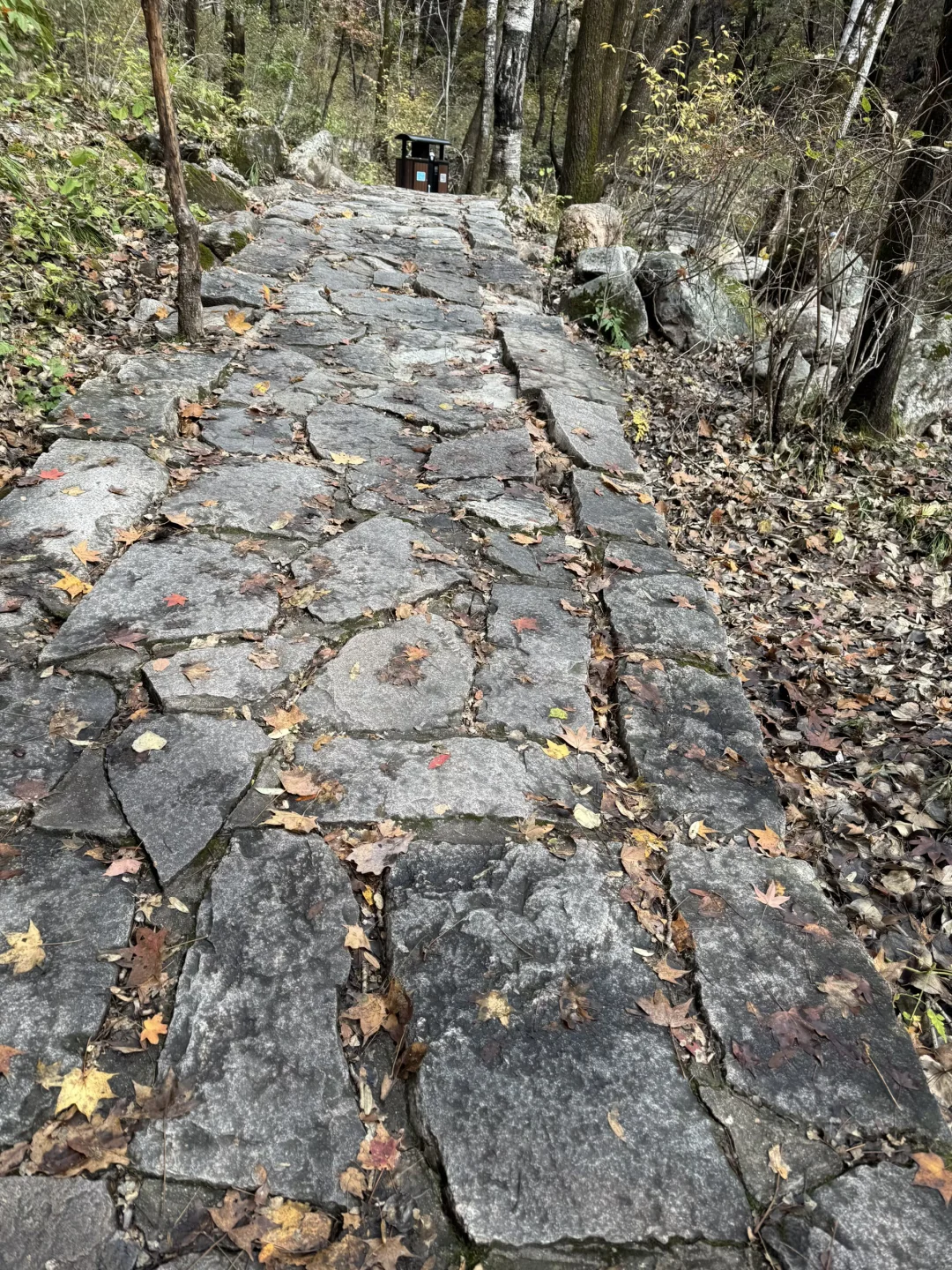 十月七日-特种兵奔向驼梁一日游