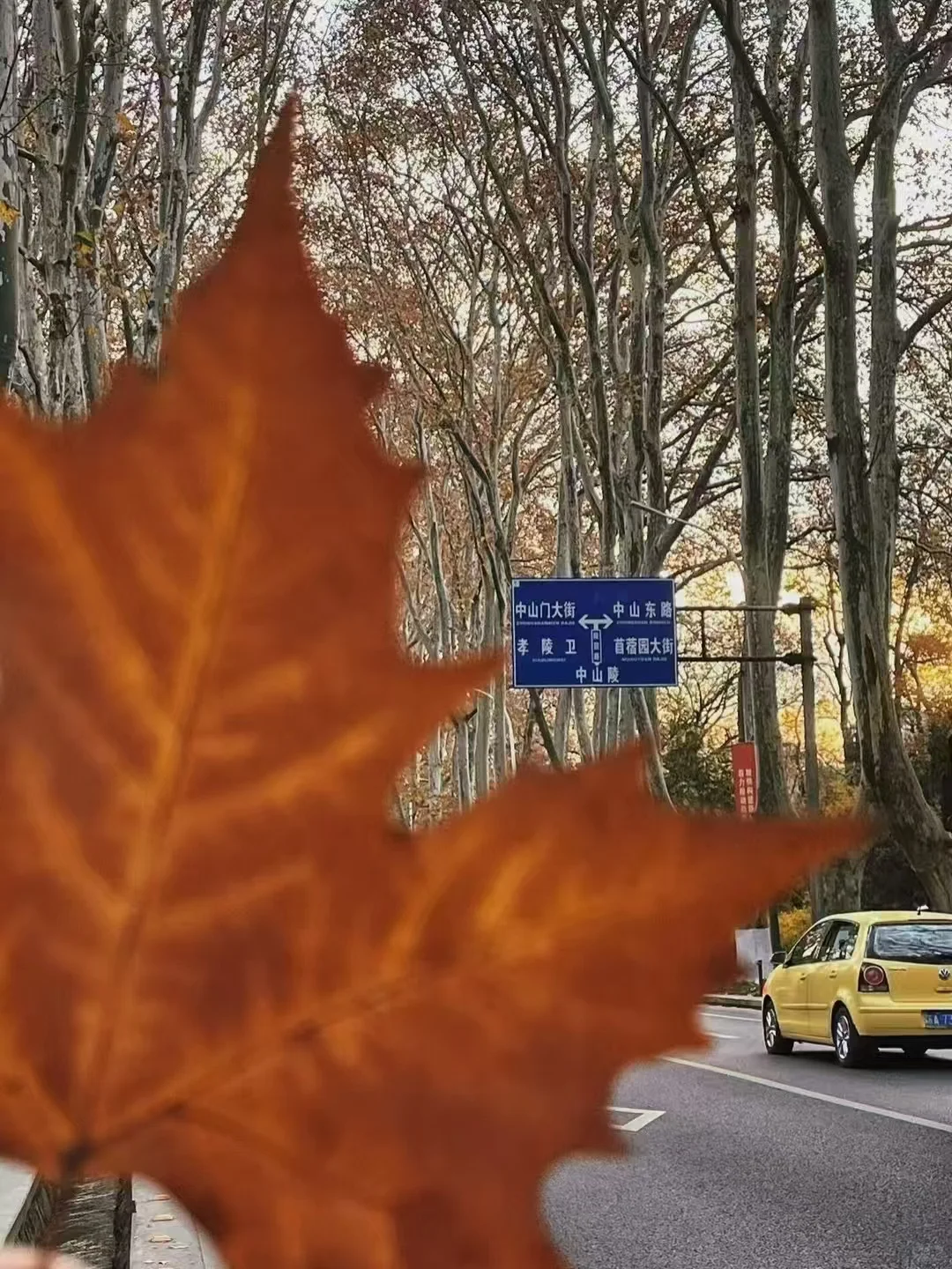 南京会惩罚每一个不做攻略就来的游客😭