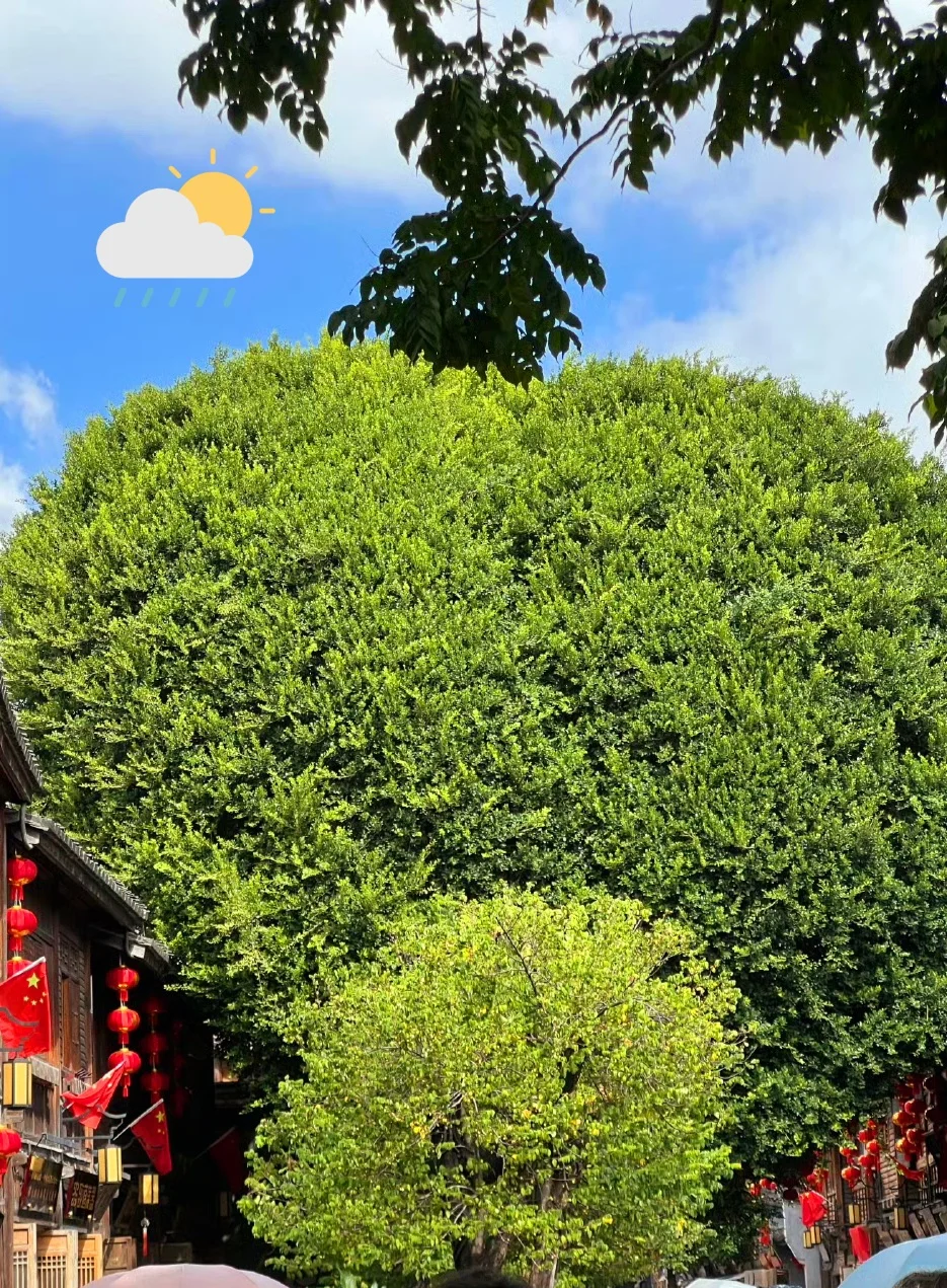 🛑这地我熟：福州两日游，不走回头路❗