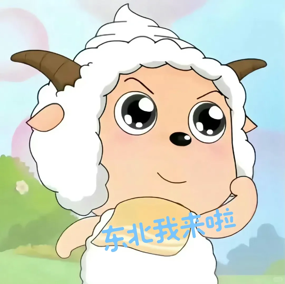 抄作业❗️❗️去东北这样玩