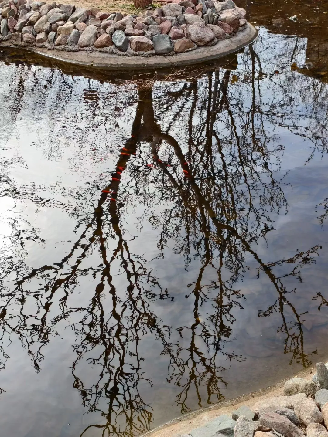 小小探险家(徒步)