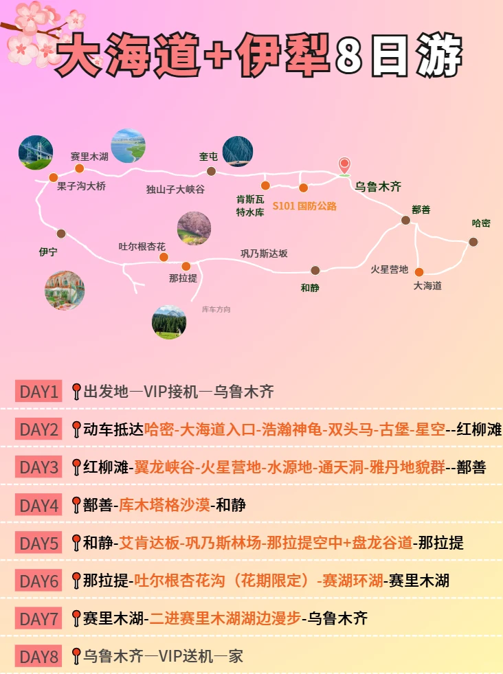 谁懂吖🔥终于有人把新疆旅游说明白了