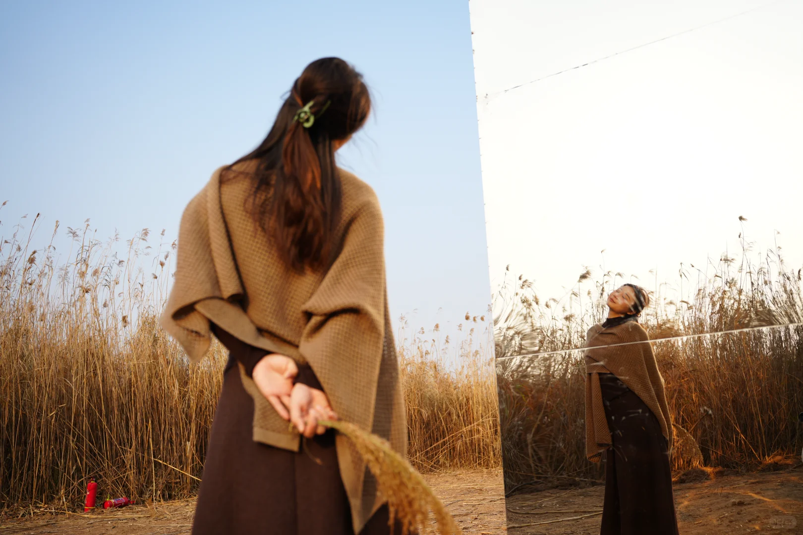 有一种美，叫岳阳的芦苇