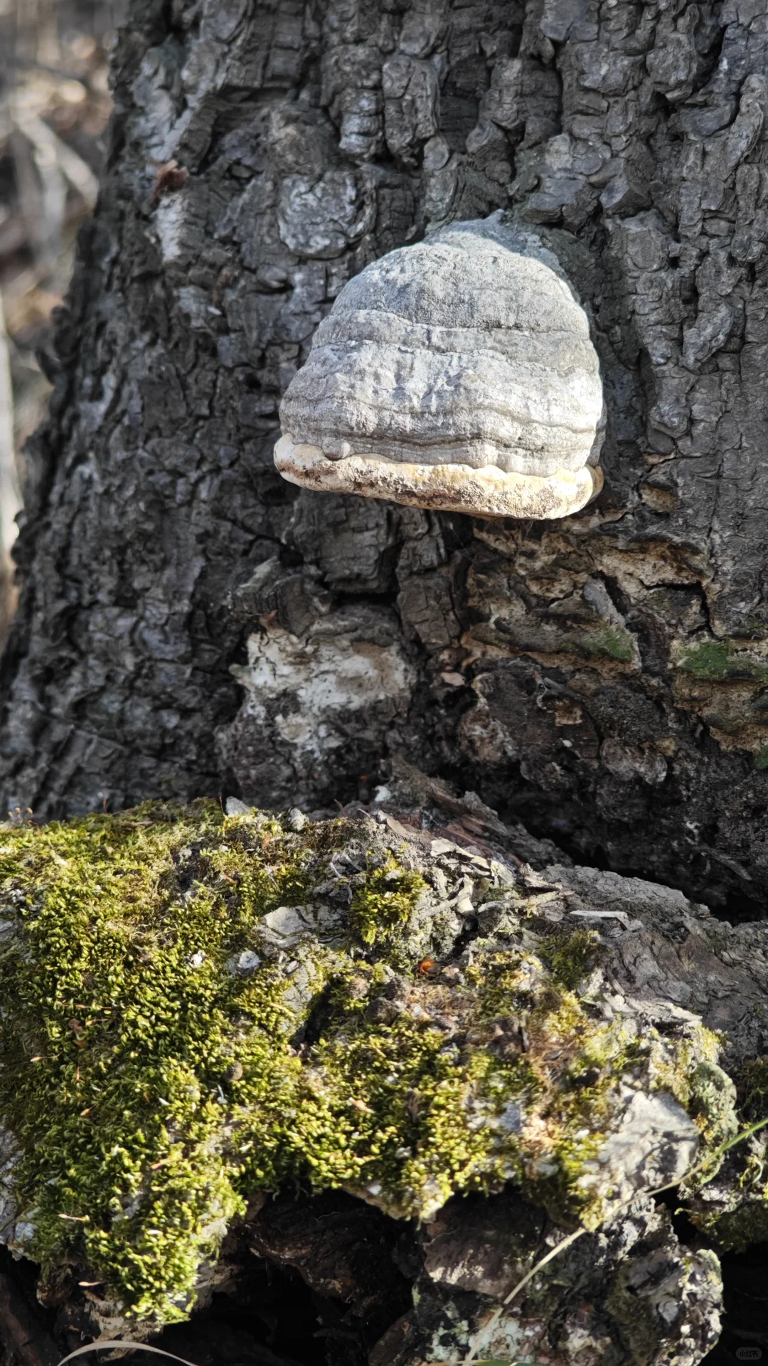 11月23日国际庄周边冬天好去处往这看😏